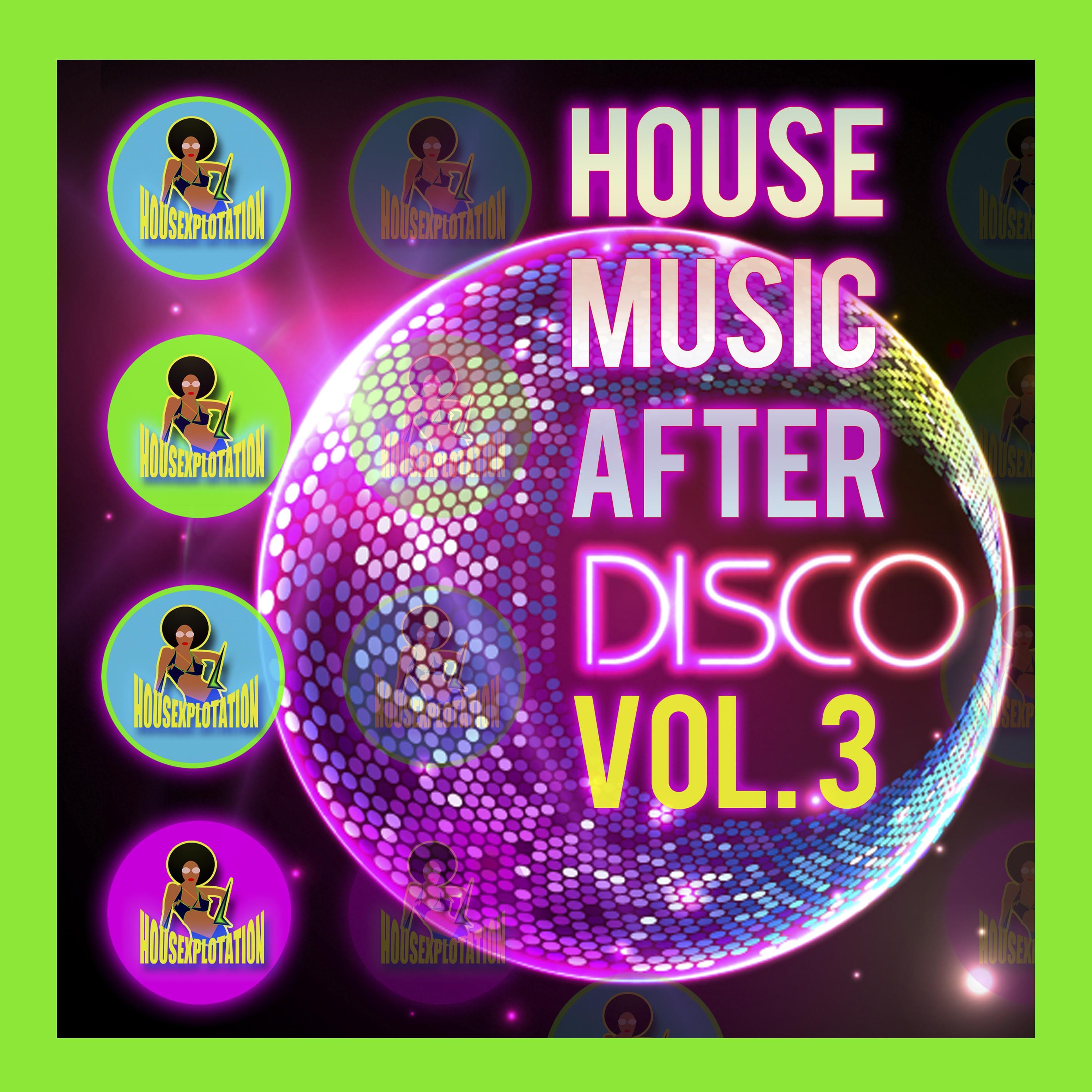 House Music After Disco, Vol. 3
