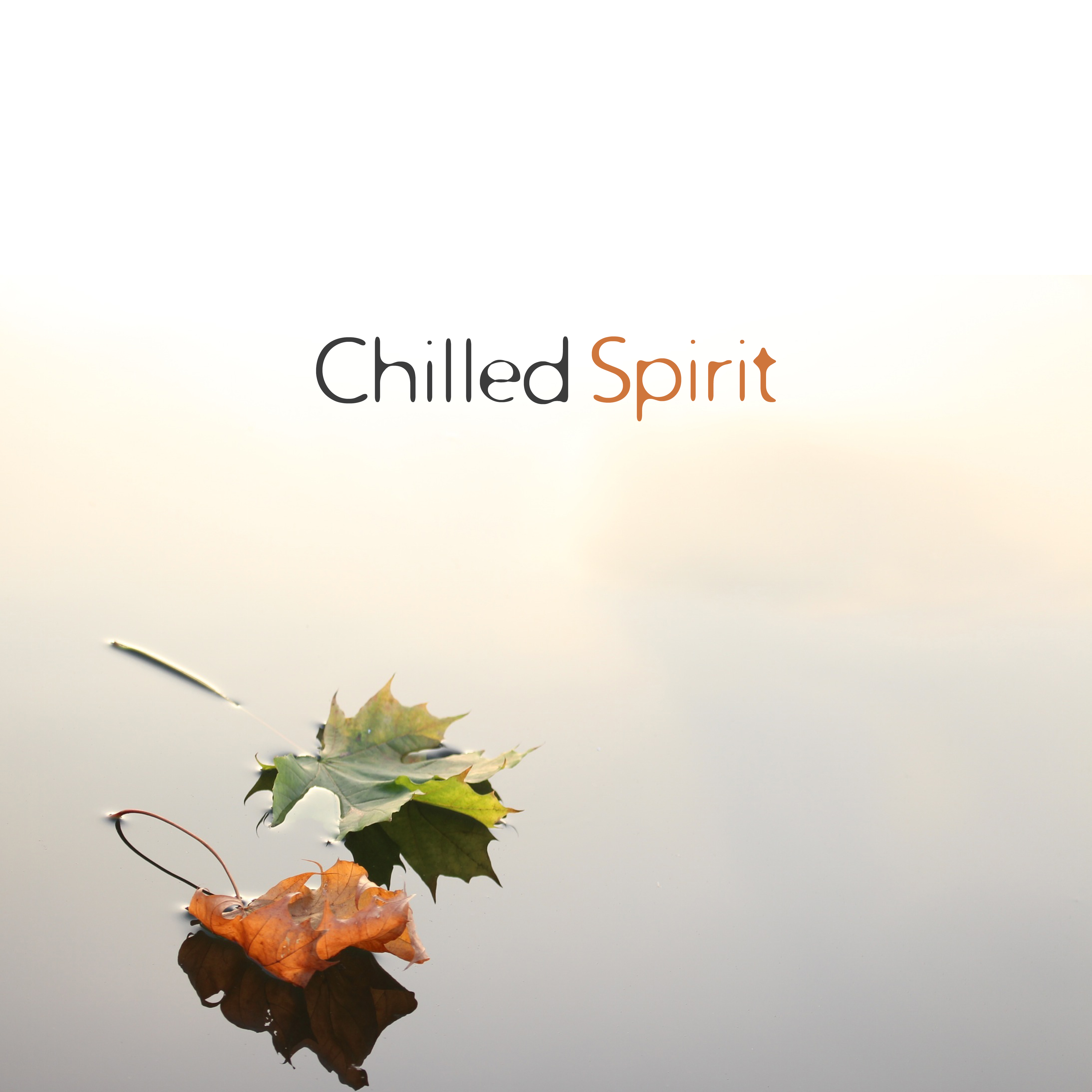 Chilled Spirit  Nature Sounds, Calming New Age Music, Relax Time, Bliss, Zen