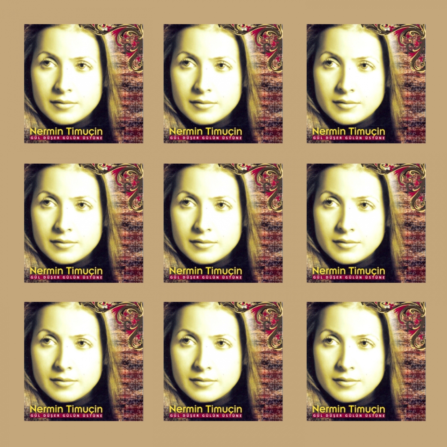 Gü l Dü er Gü lü n Ü stü ne