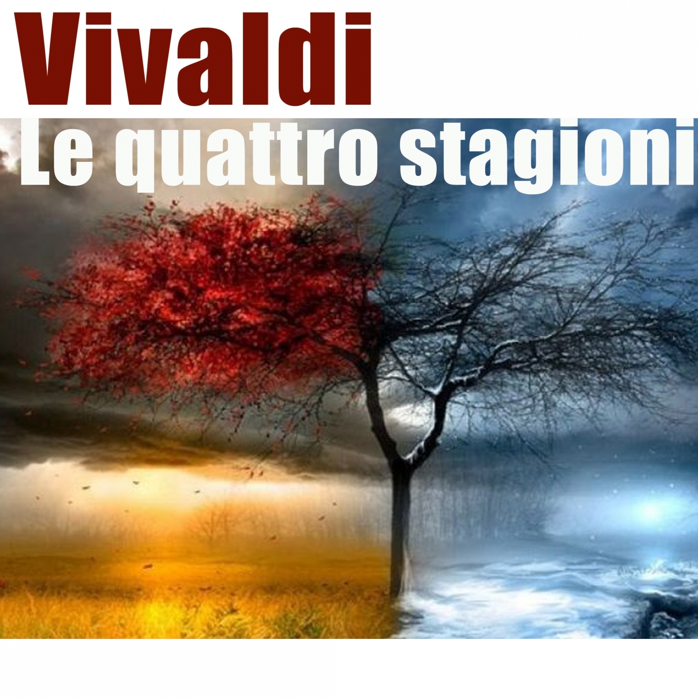 Concerto per violino No. 1 in E Major, Op. 8, RV 269 "La primavera": II. Largo