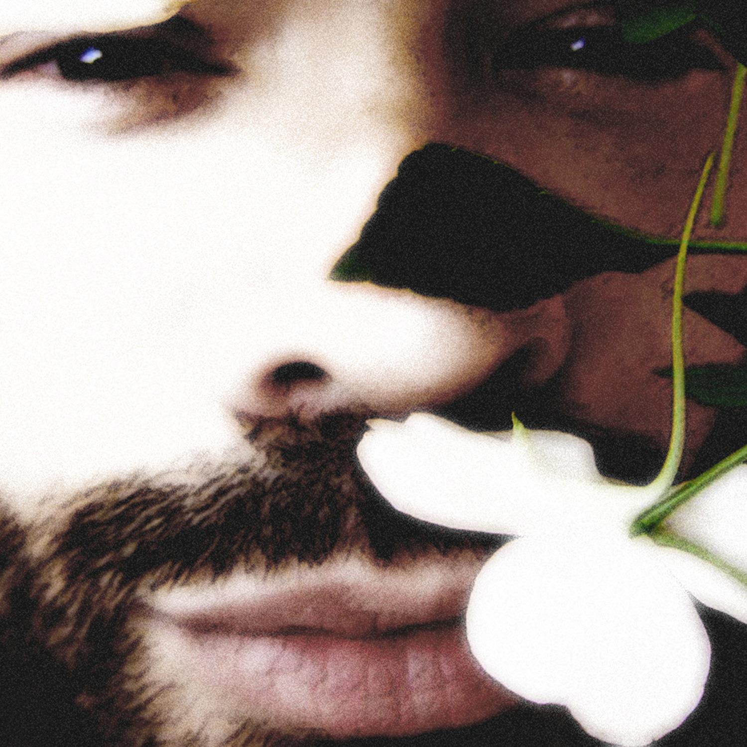 Canciones que un hombre no deberi a cantar