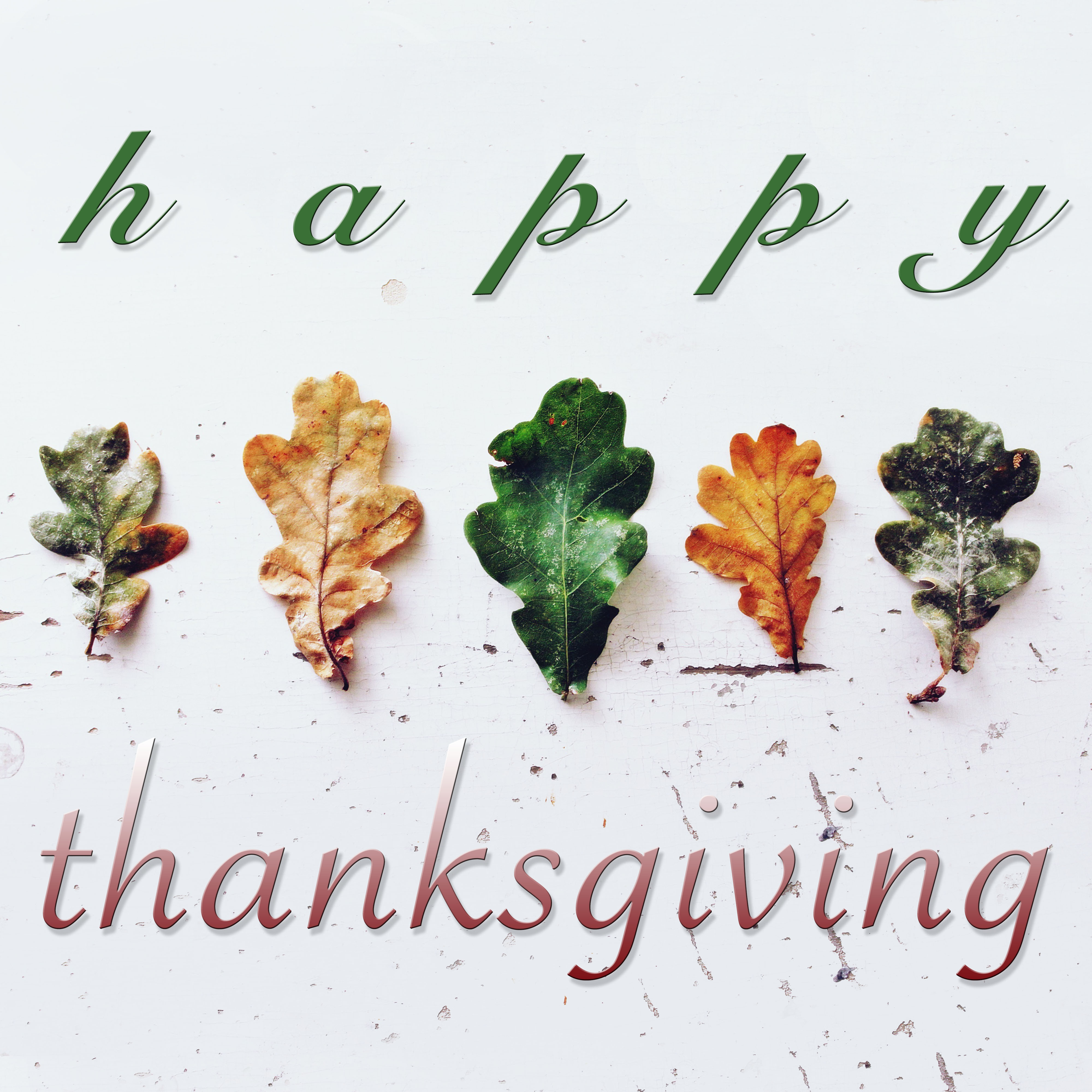 Haydn, Romance from Lira Concerto