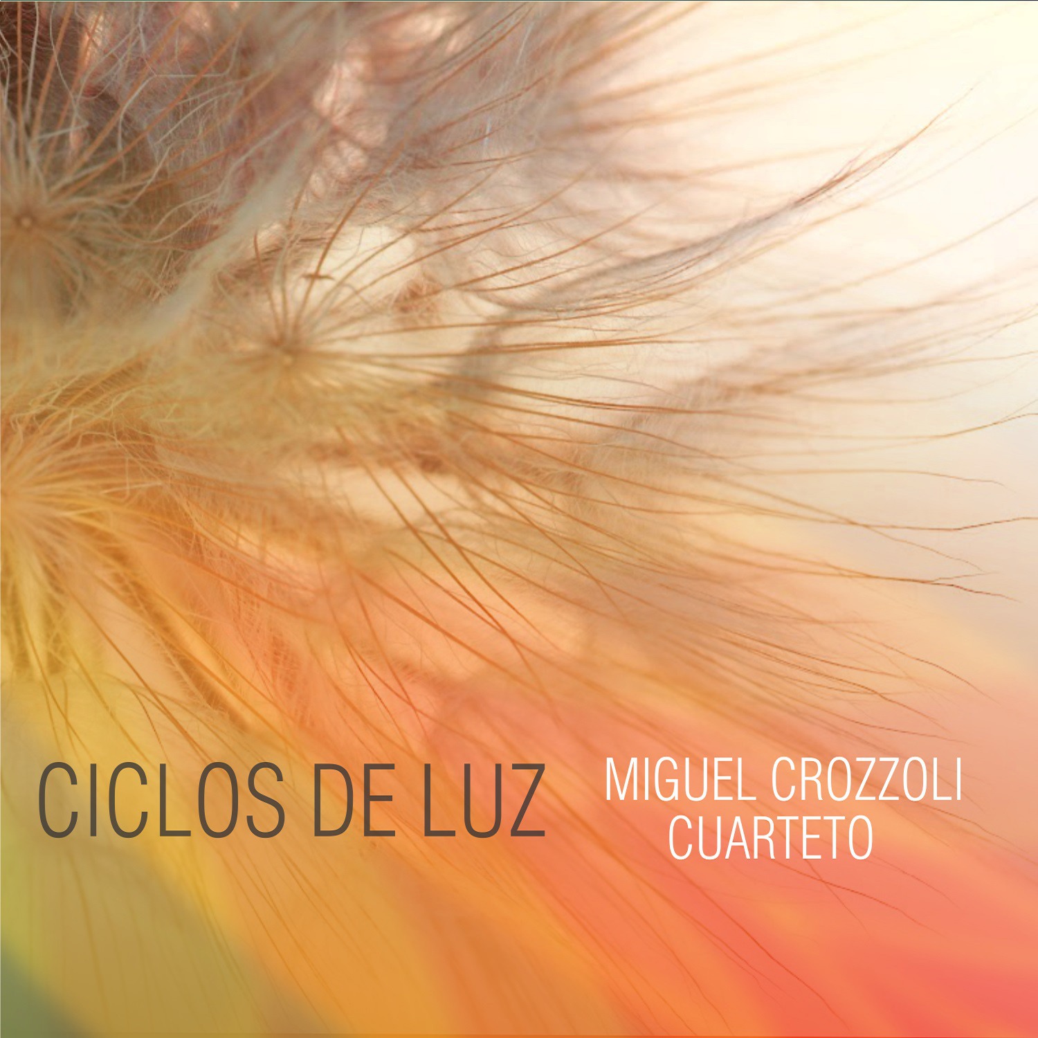 Ciclos de Luz
