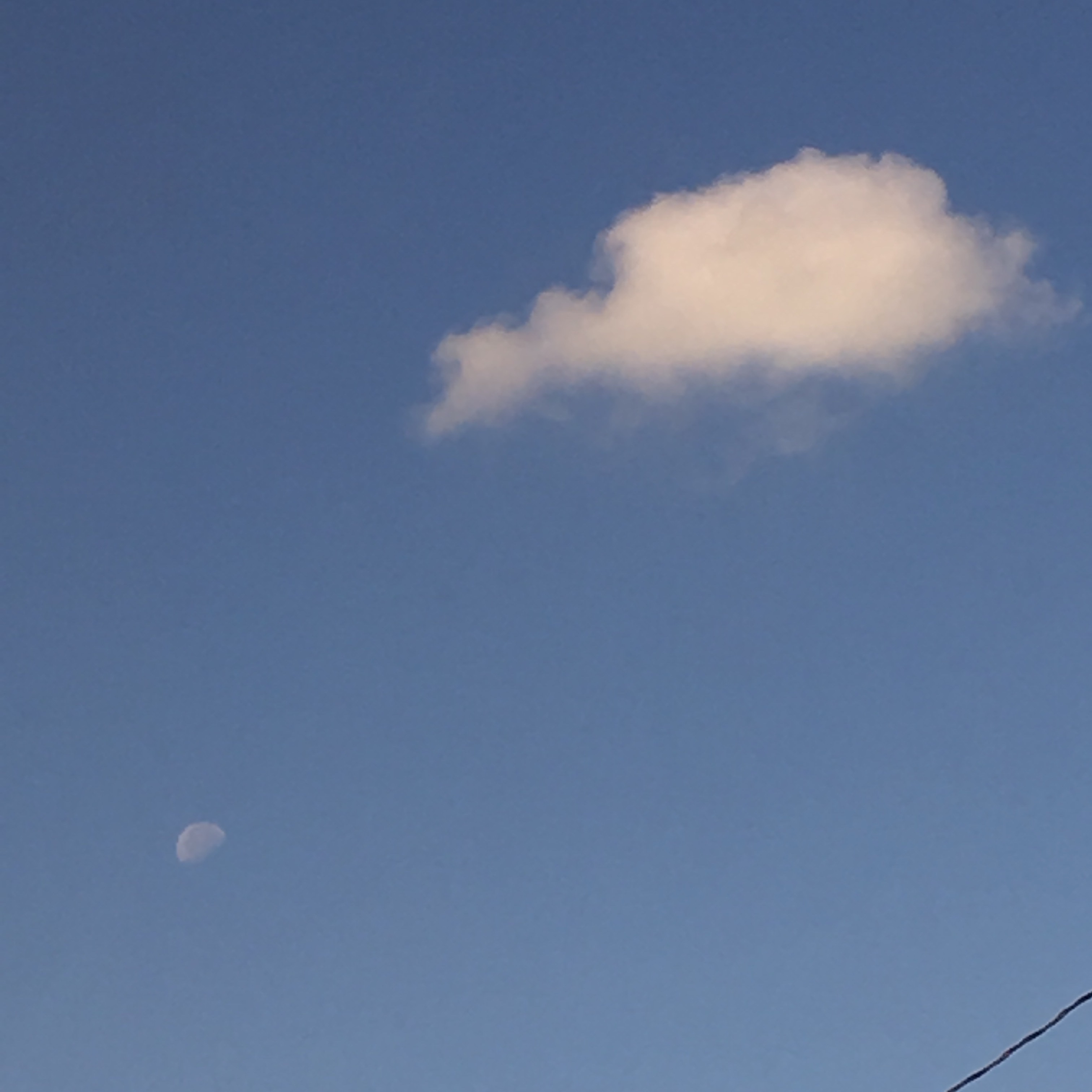 The World Forgets to Spin Sometimes