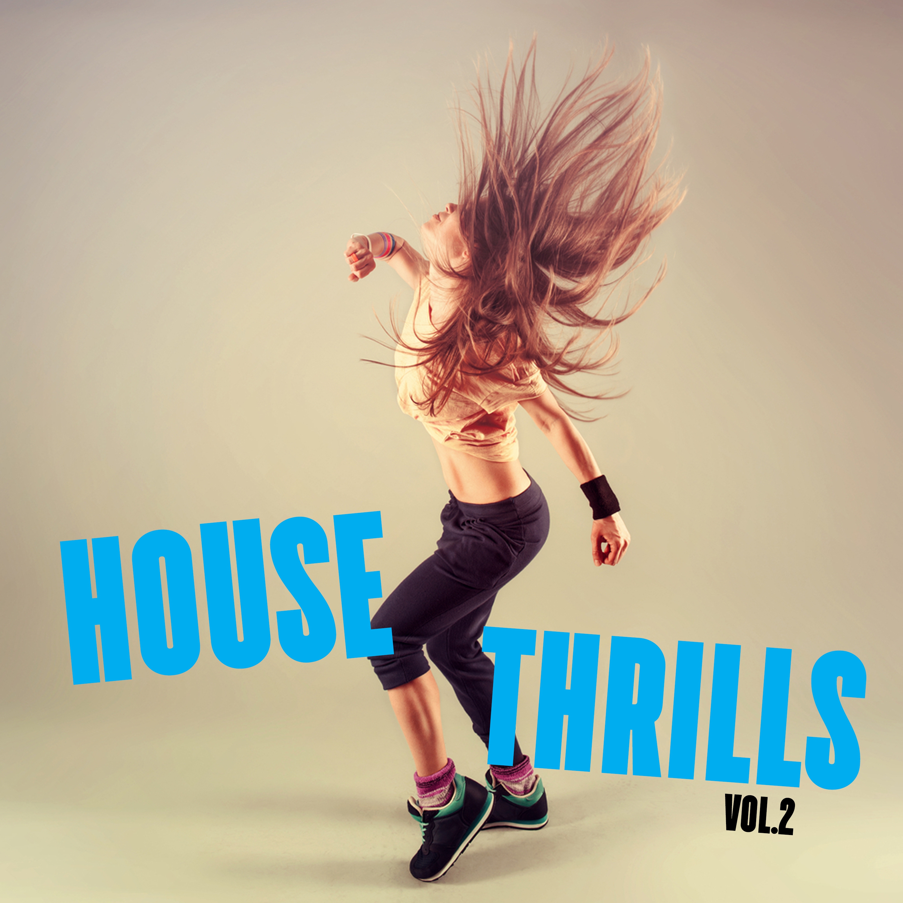 House Thrills, Vol. 2