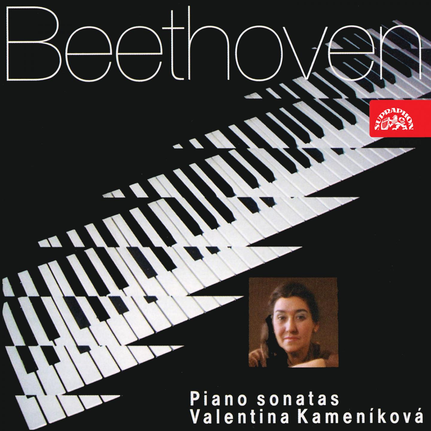 Sonata for Piano No. 8 in C Minor, Op. 13 " Pathe tique": III. Rondo. Allegro