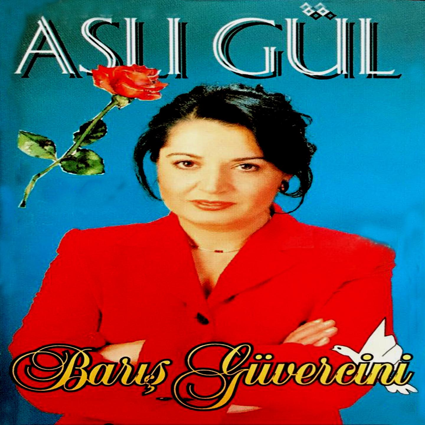 Bar Gü vercini
