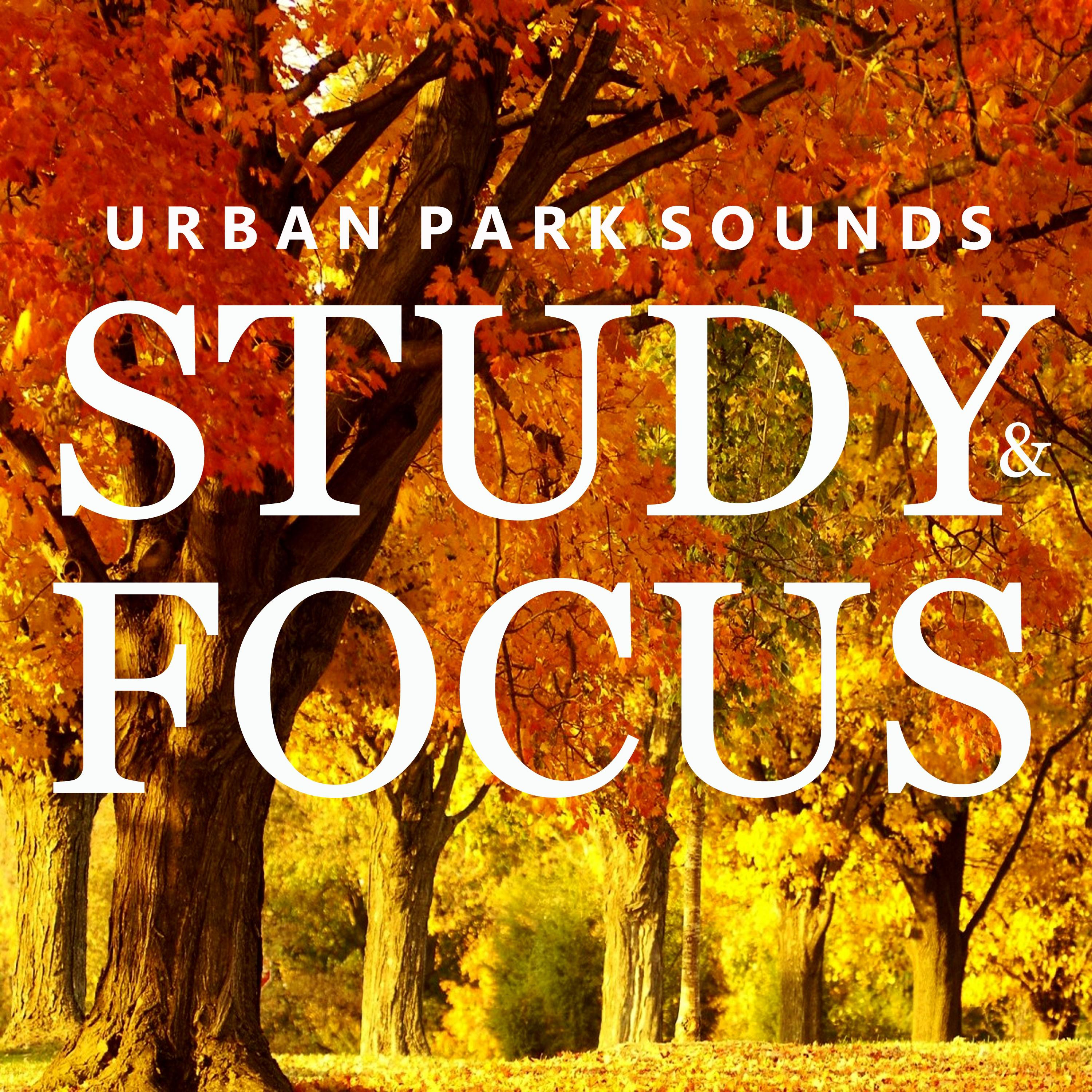 Urban Park Sounds for Studying, Pt. 10
