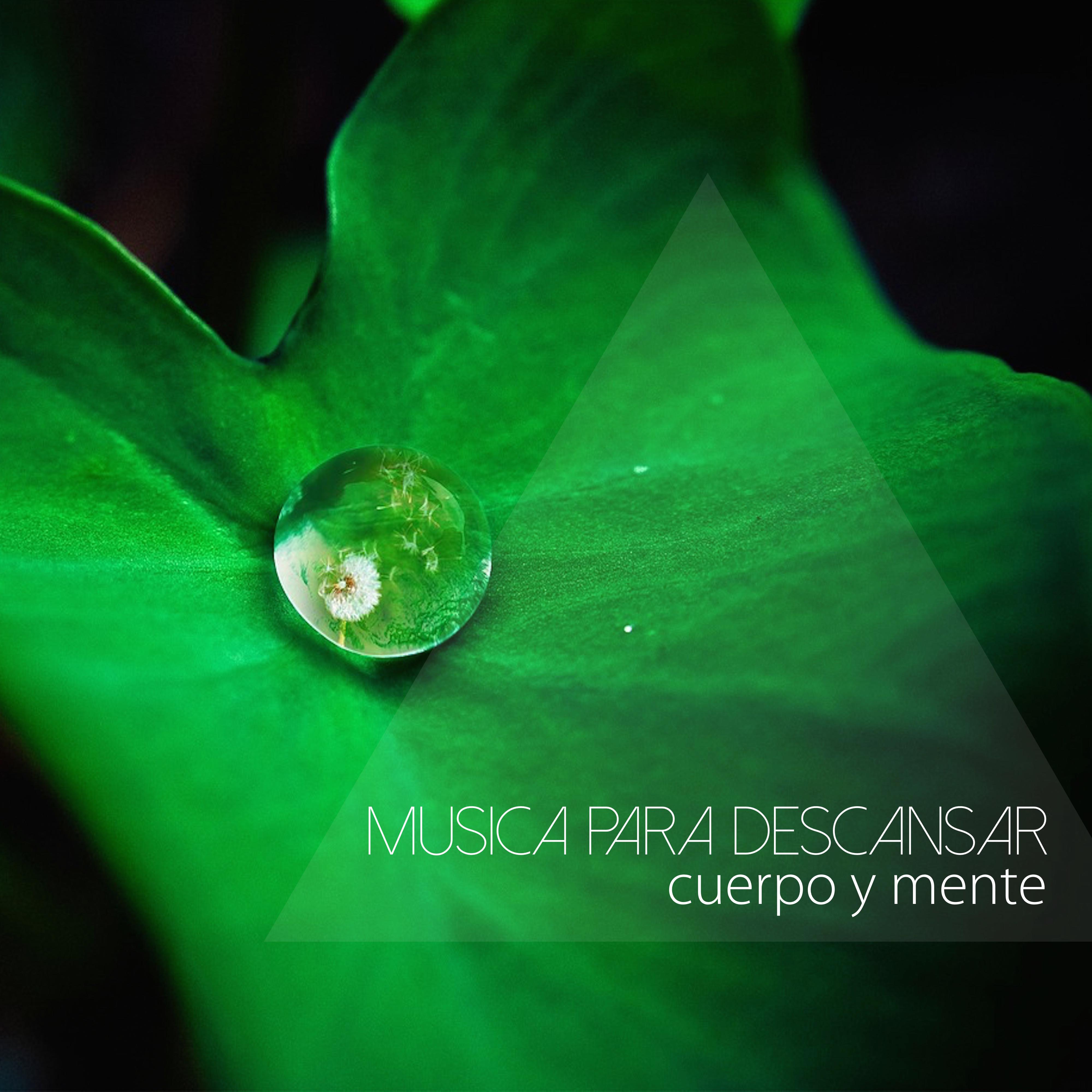 Mu sica para Descansar Cuerpo y Mente  Musica Instrumental para Relajarse y Sonidos Relajantes para Dormir