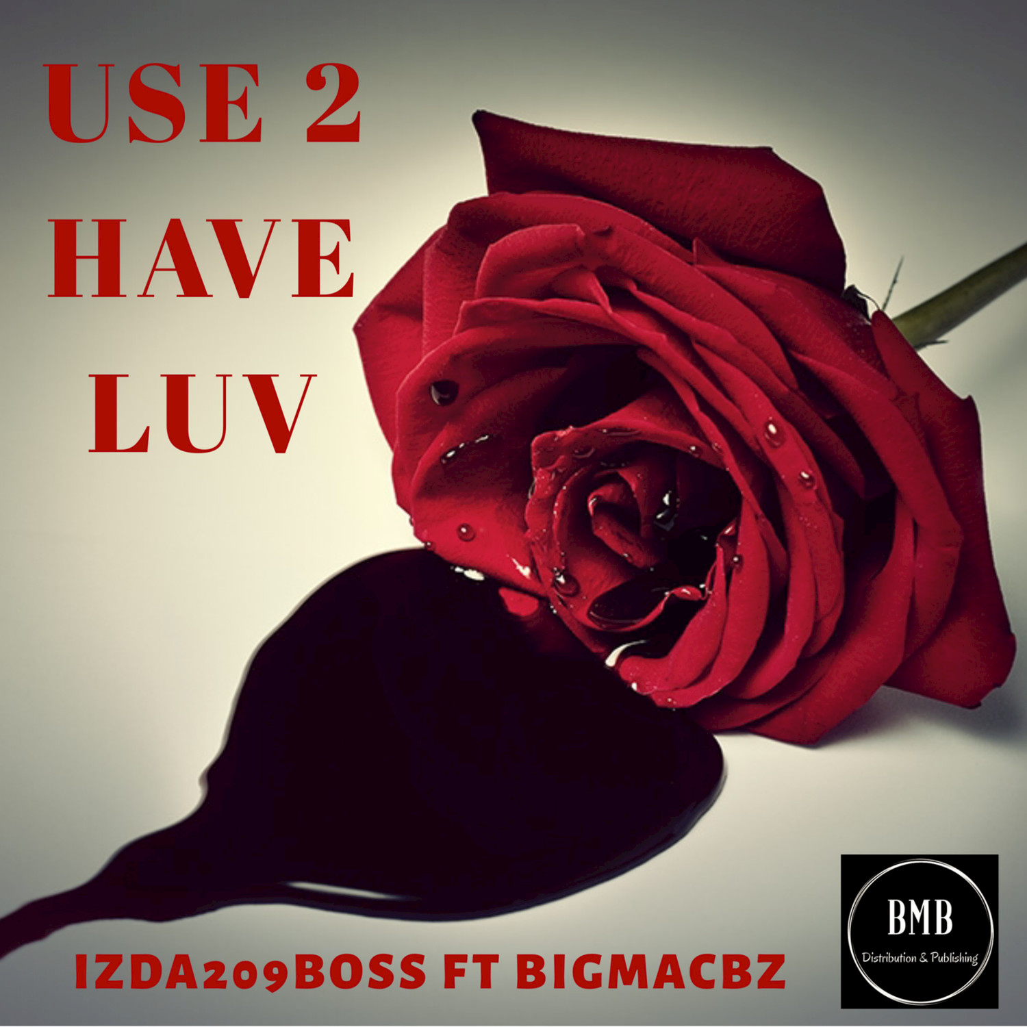 Use 2 Have Luv