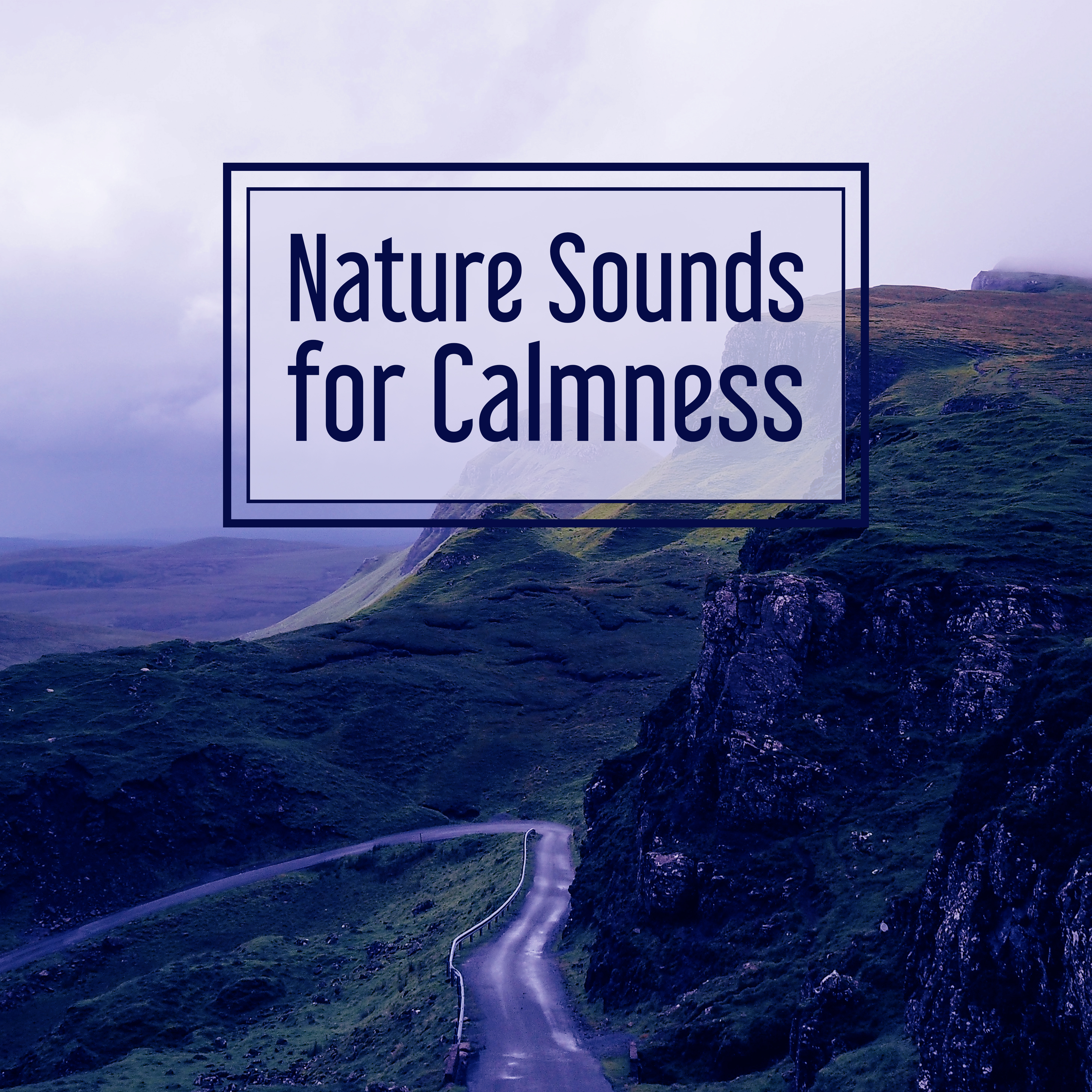 Nature Sounds for Calmness  Music for Relaxation, Soothing Rain, Pure Mind, Deep Sleep, Peaceful Music, Total Relax