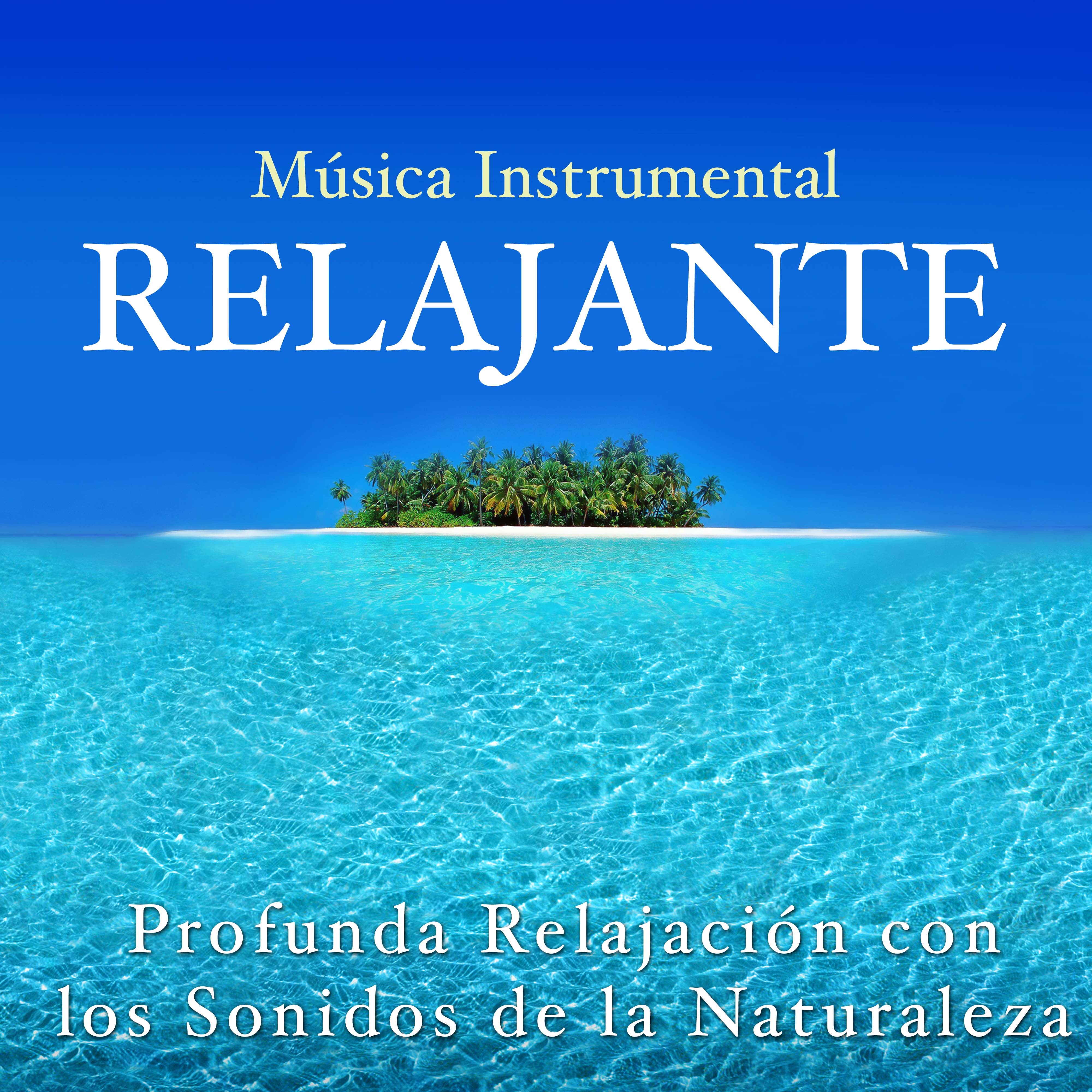Musica Instrumental Relajante  Profunda Relajacio n con los Sonidos de la Naturaleza