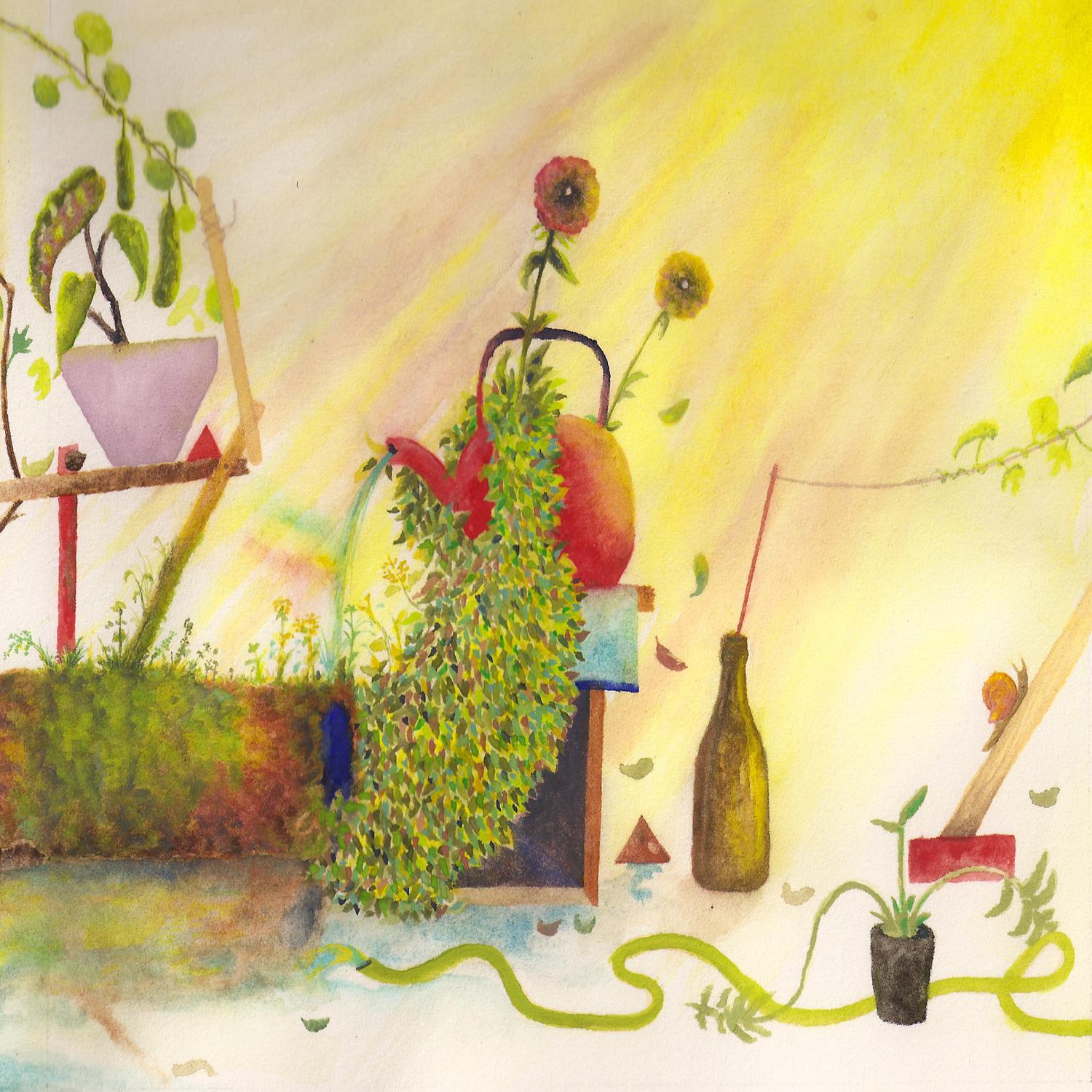 Nacho y los Caracoles