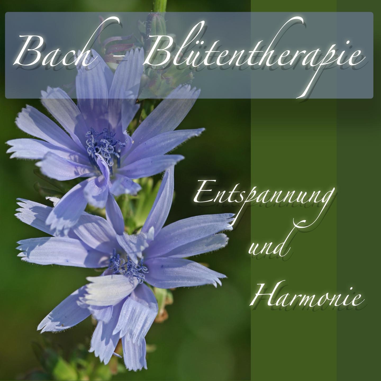 Bach Blü tentherapie Entspannung und Harmonie