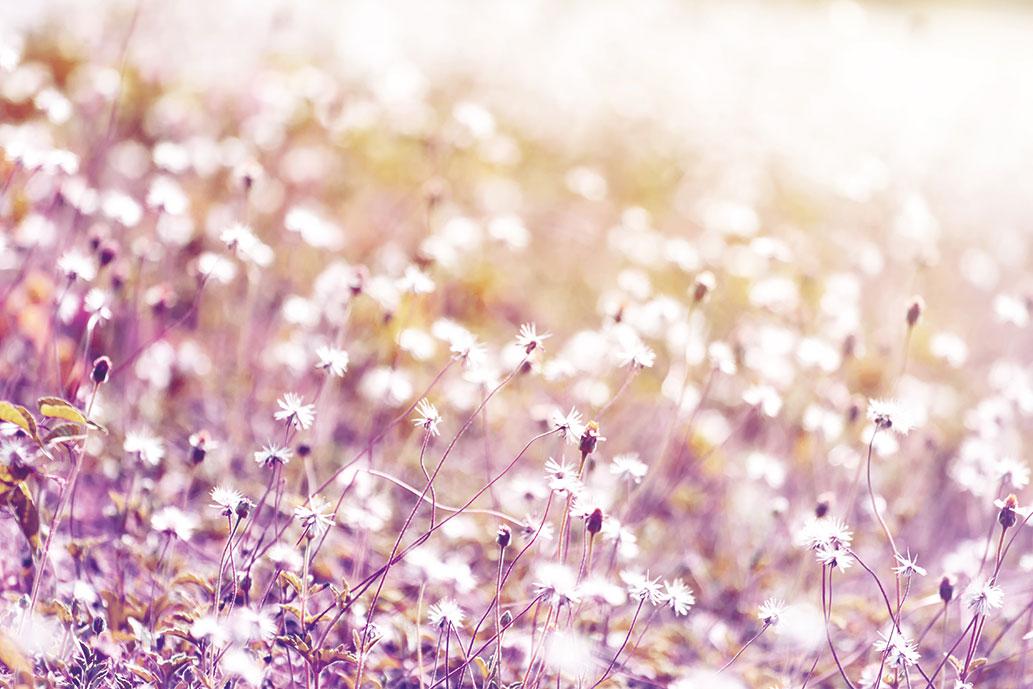 The Girl In The Dark