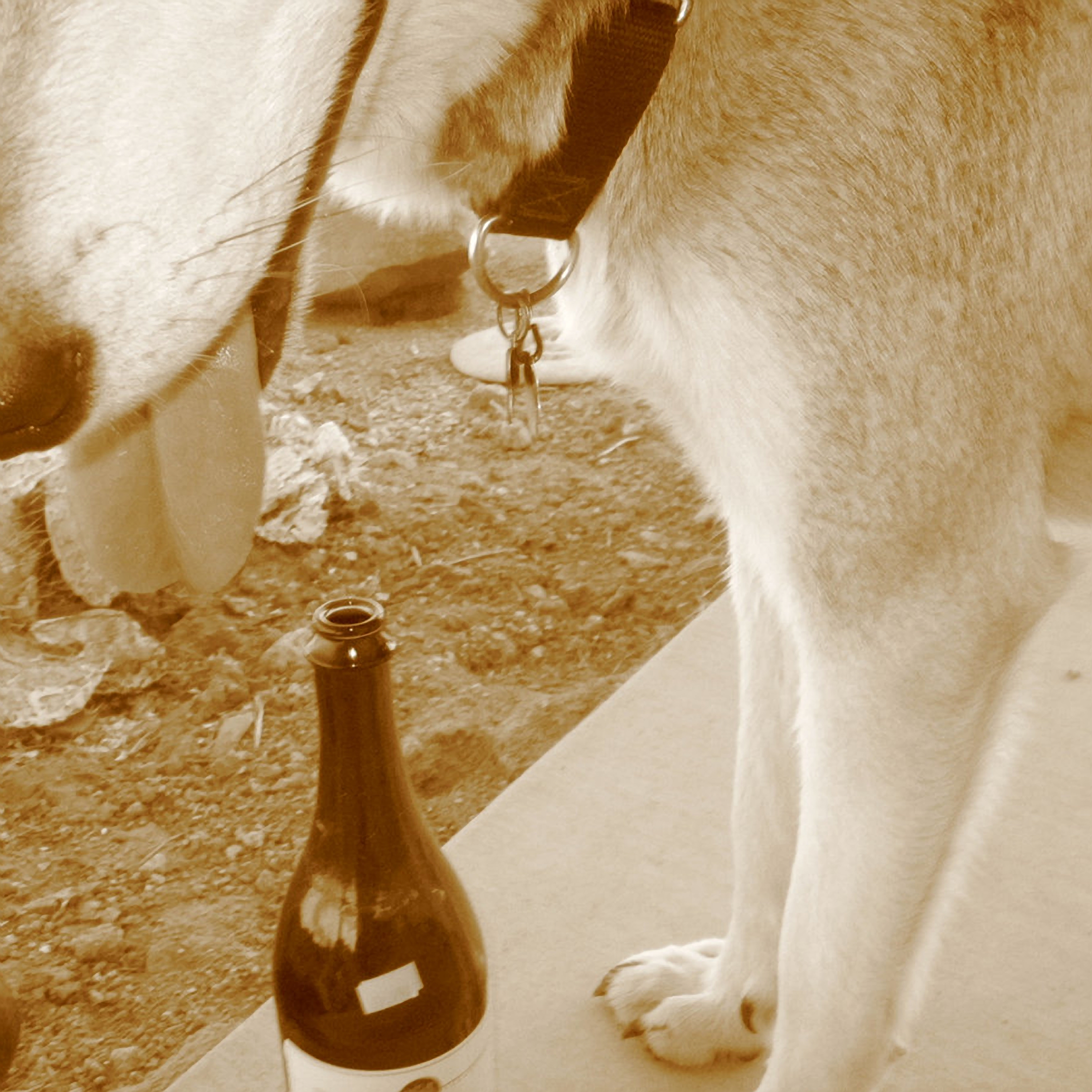 The Blissful Cessation