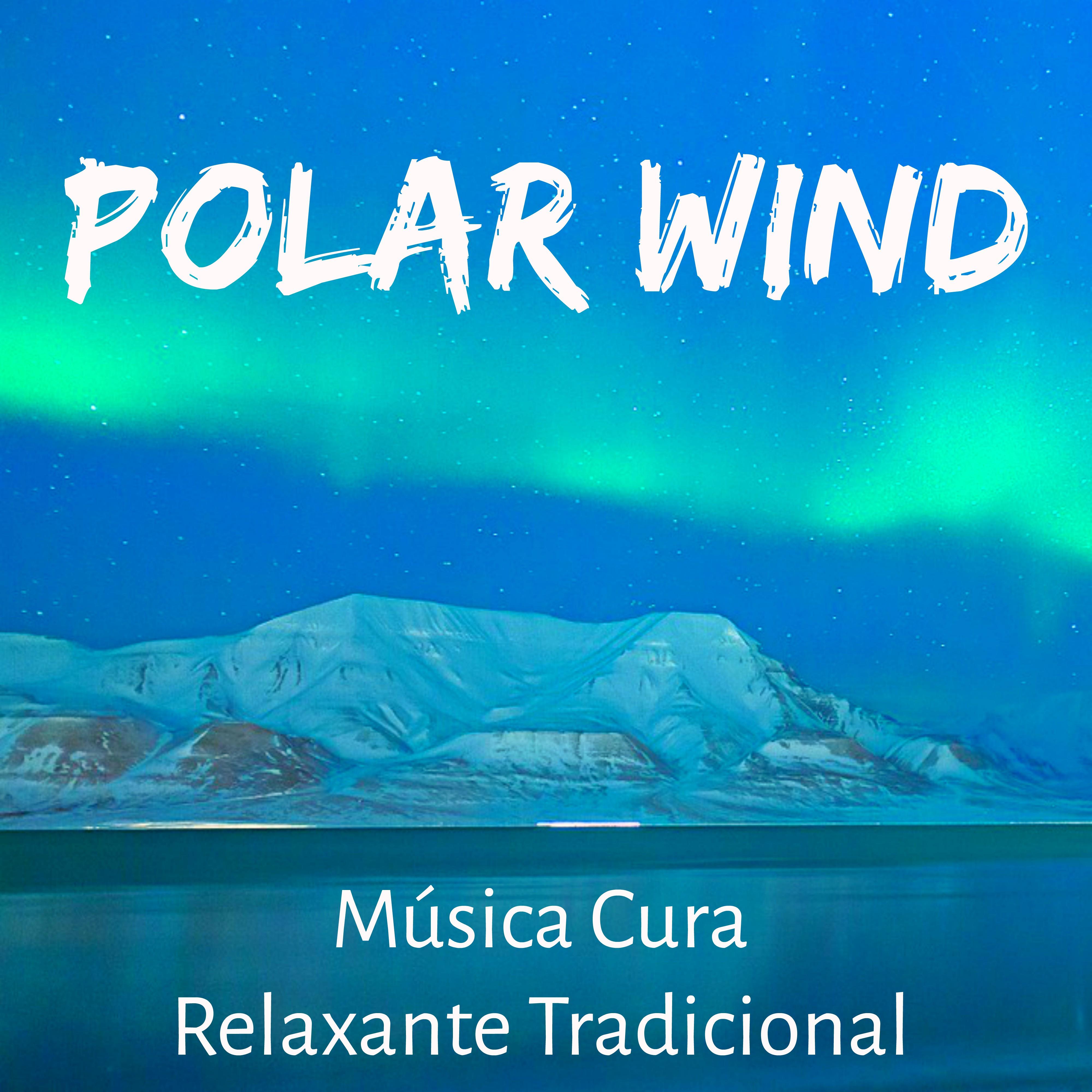 Polar Wind  Mu sica Cura Relaxante Tradicional para Saude Mental Floco de Neve Feriado de Natal com Sons de Natureza New Age Instrumentais
