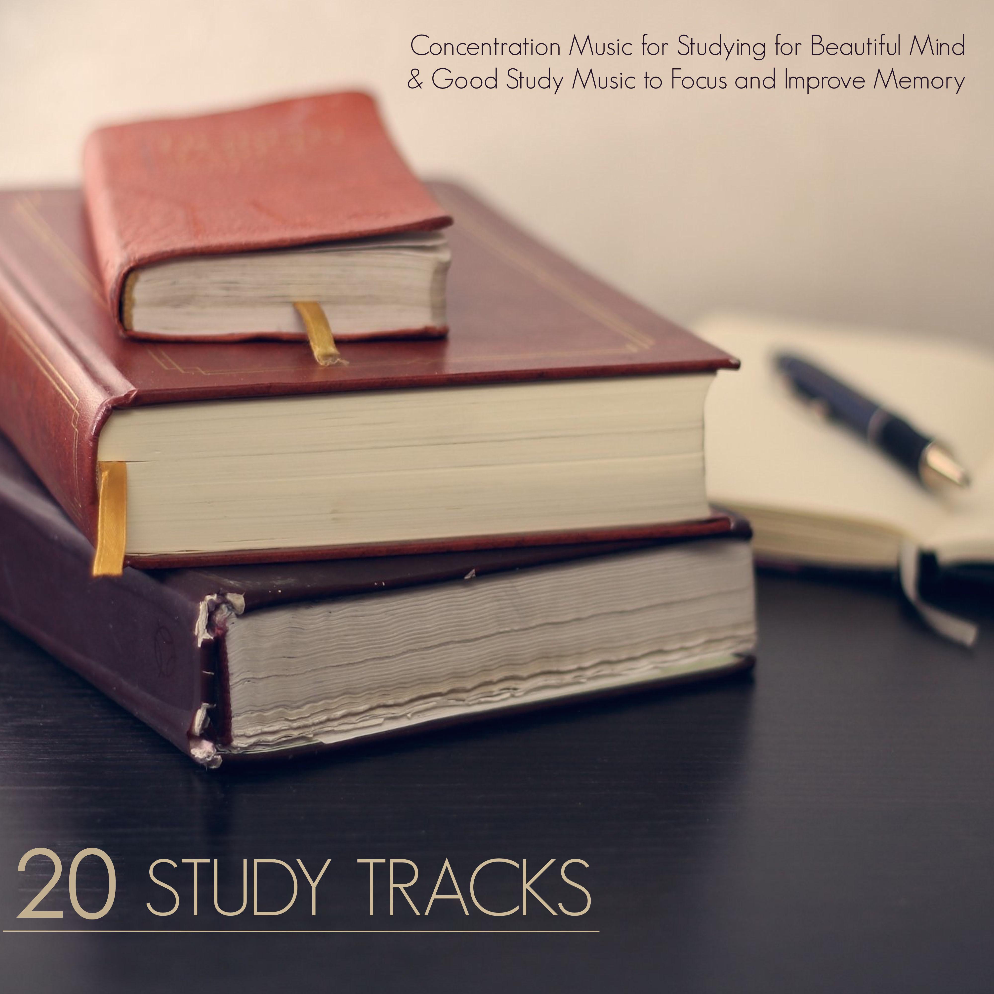 20 Study Tracks - Concentration Music for Studying for Beautiful Mind & Good Study Music to Focus and Improve Memory