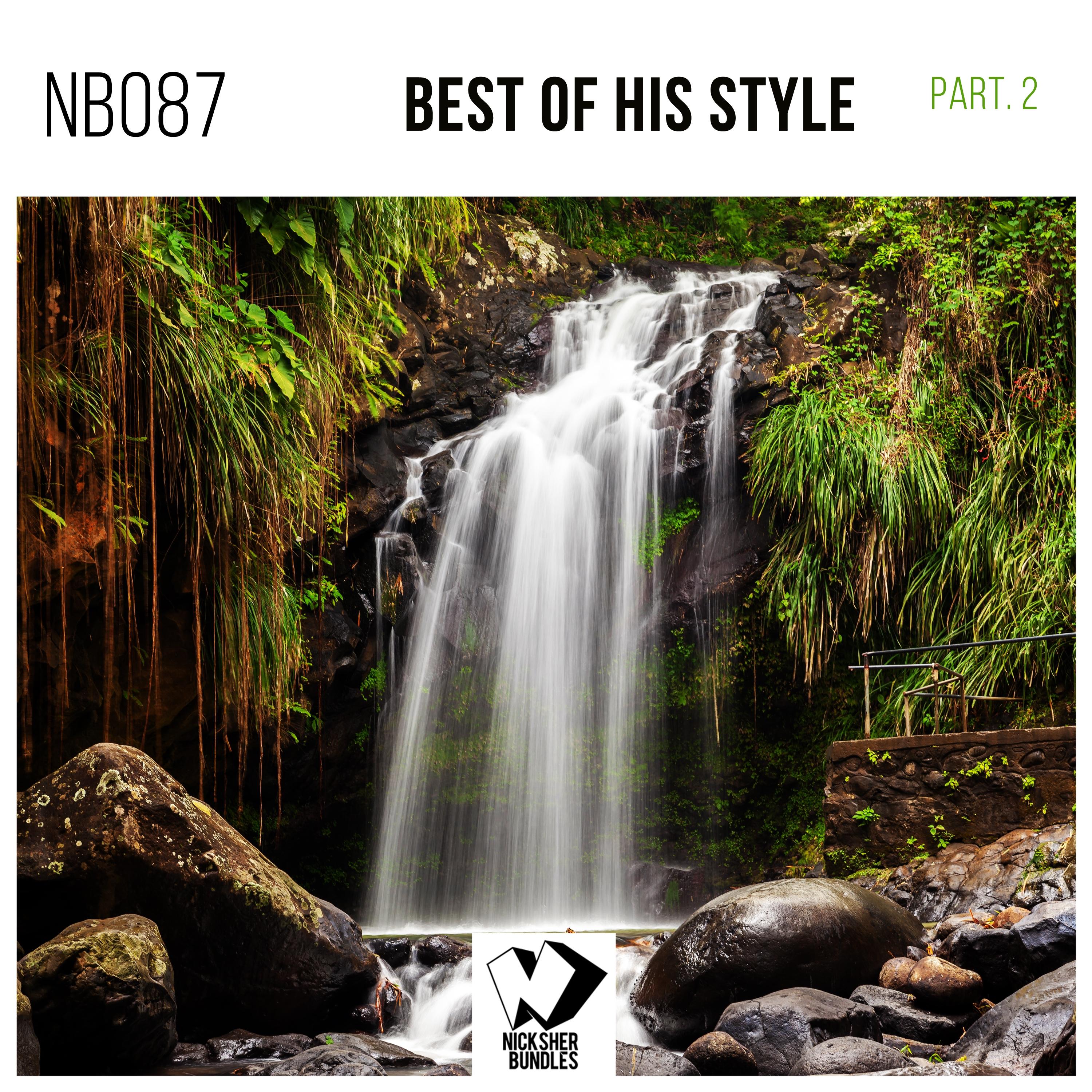 Best of His Style, Pt. 2