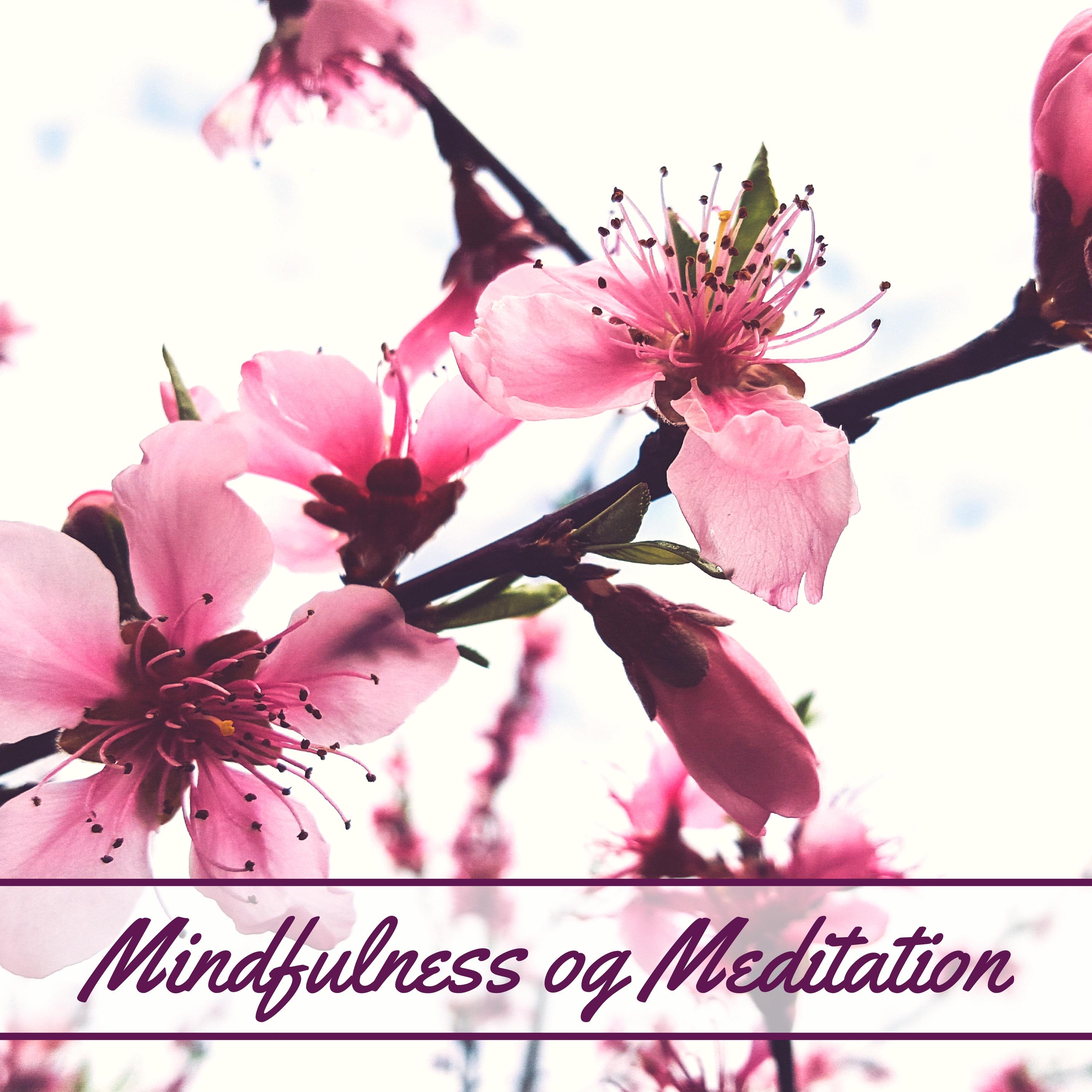 Mindfulness og Meditation  Sjov med Yoga for B rn og Voksne