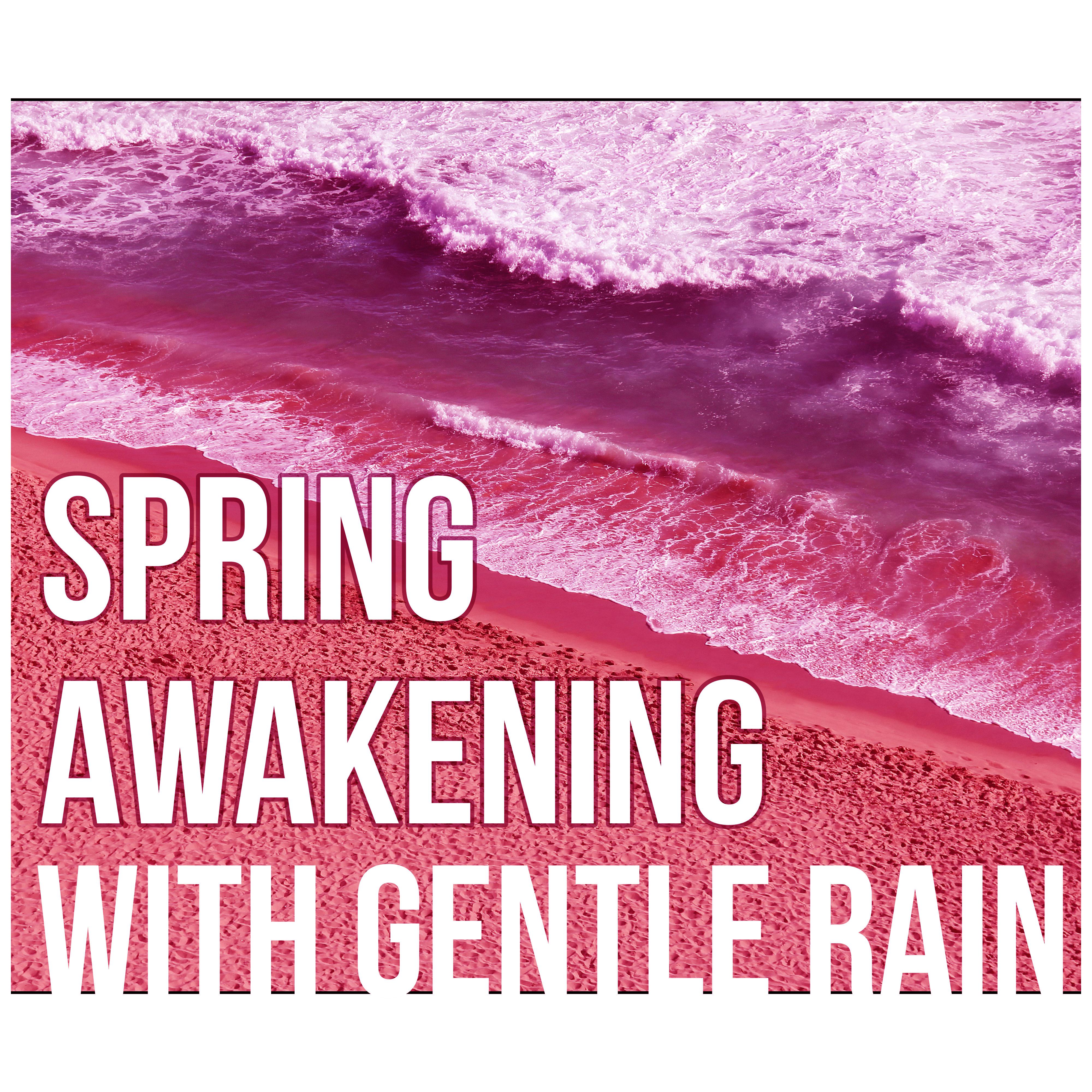 Spring Awakening with Gentle Rain  Relaxing Nature Sounds to Calm Down, Yoga  Meditation, Natural Sleep Aids, Rain Sounds, White Noise for Deep Sleep