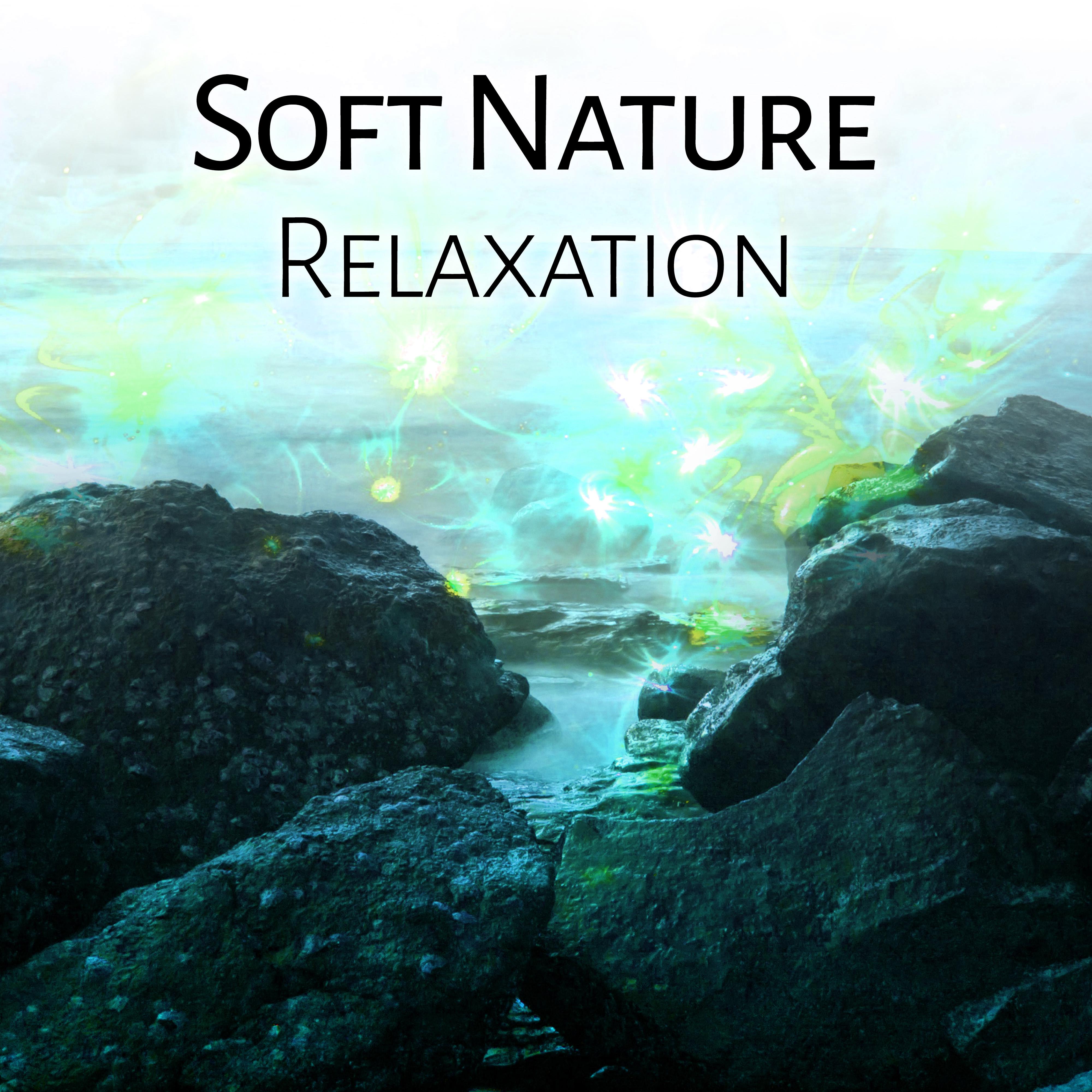 Soft Nature Relaxation  Calm Sounds, Nature Waves, Healing Music, New Age to Rest, Chilled Melodies