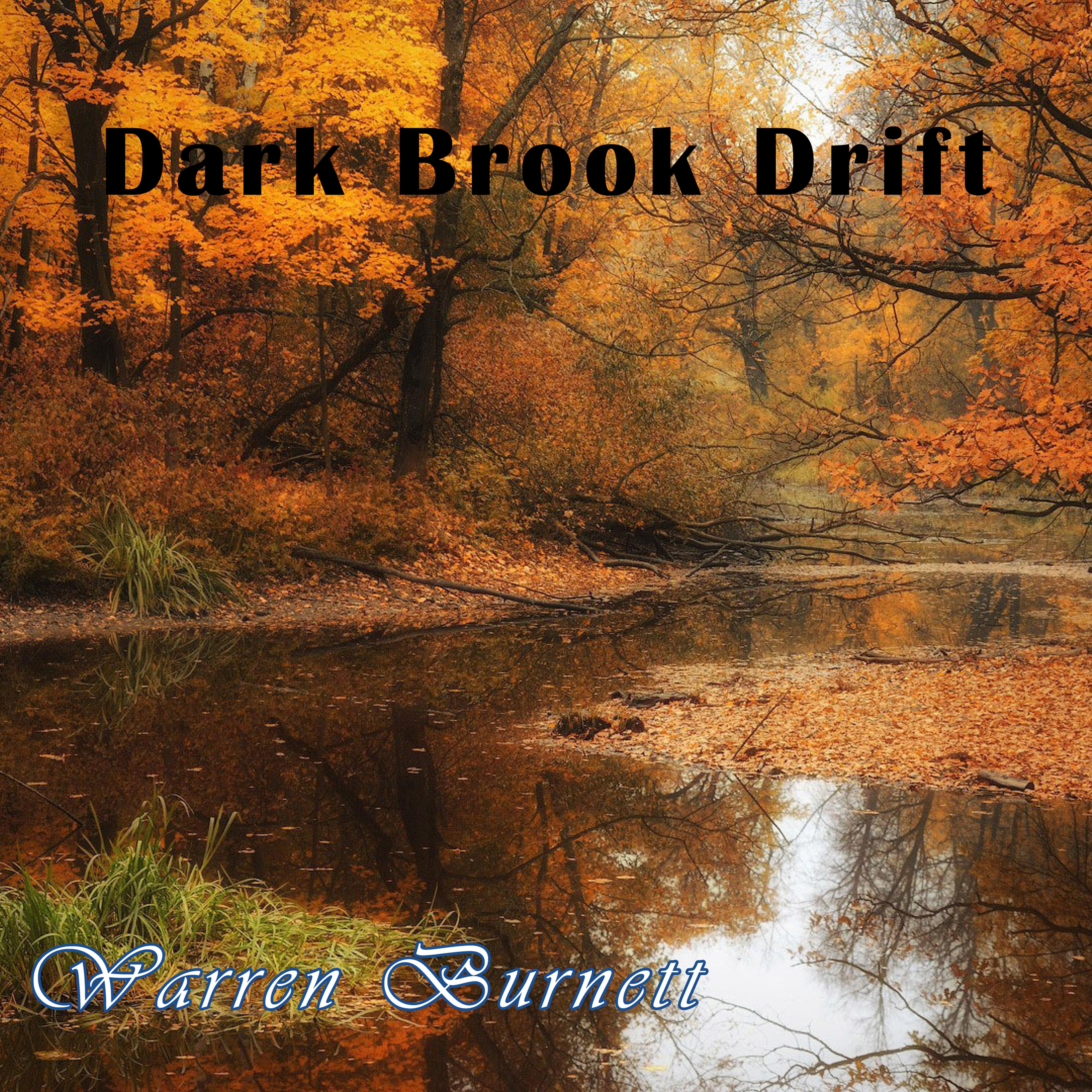Dark Brook Drift