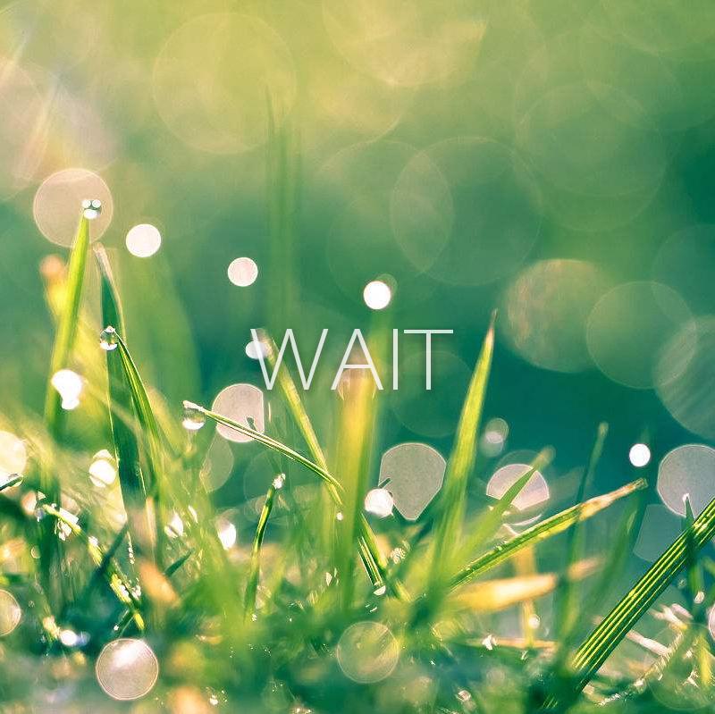 The Court of King Caractacus