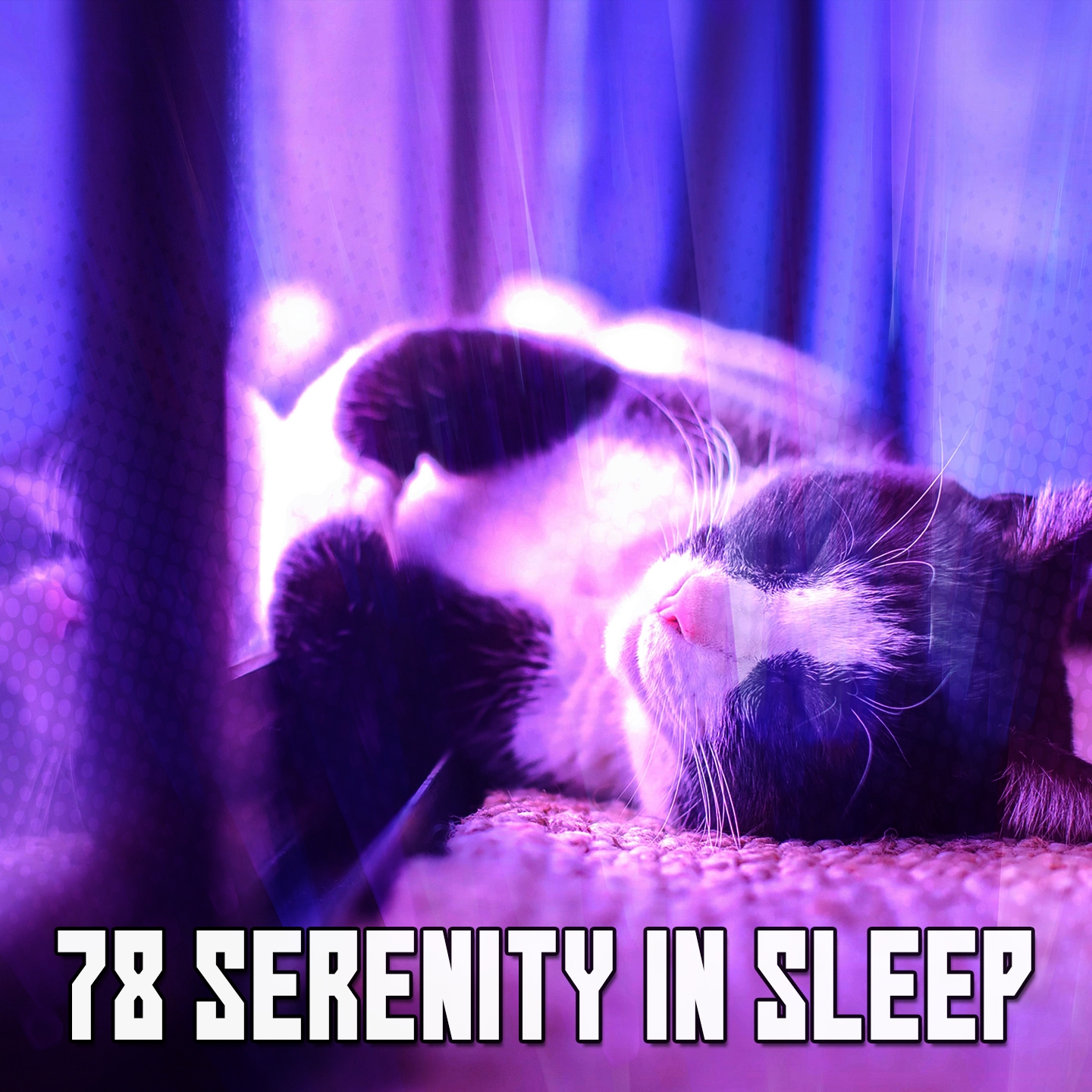 78 Serenity In Sleep