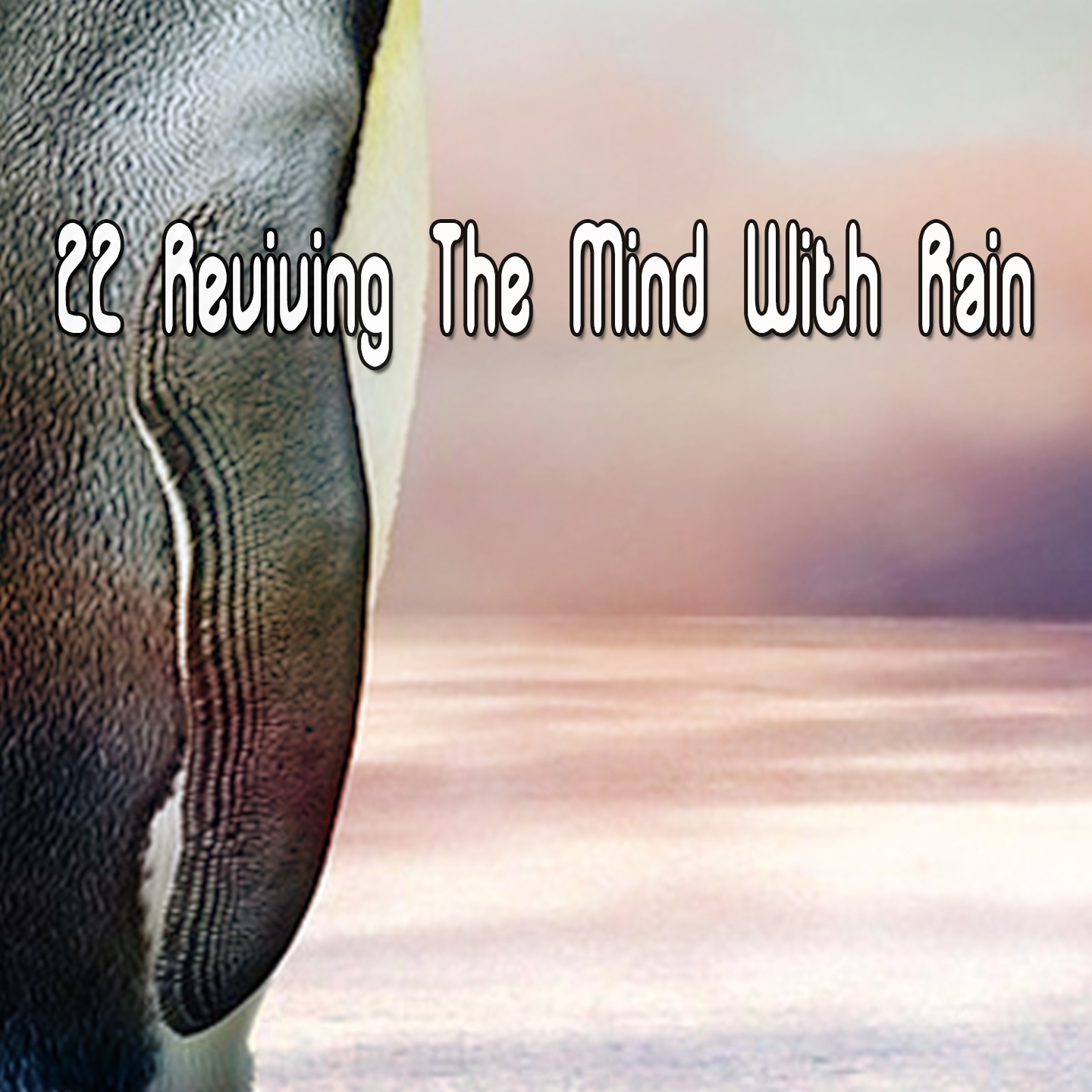 22 Reviving The Mind With Rain
