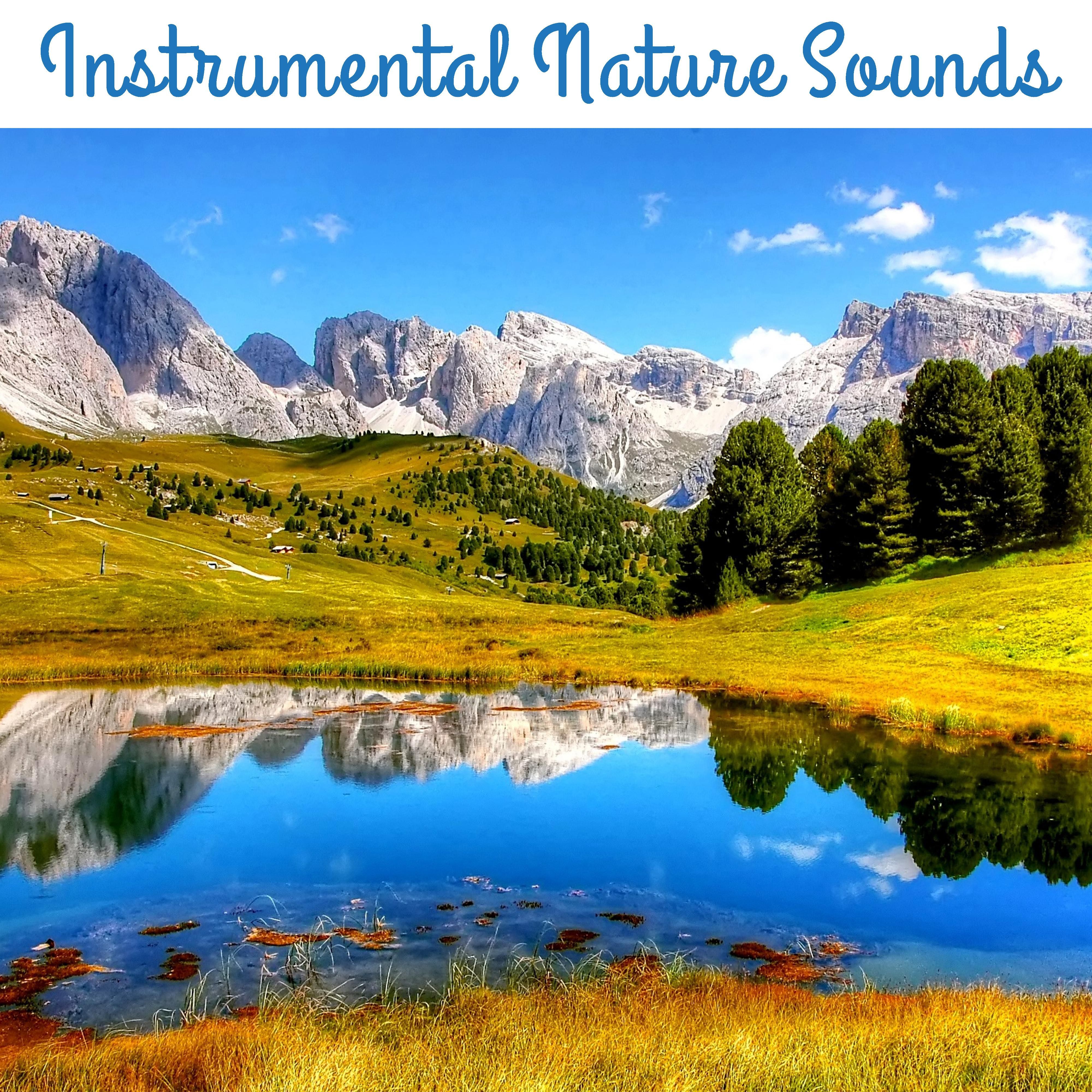 Instrumental Nature Sounds  Nature Healing Touch, Easy Listening, Peaceful Waves, Stress Relief, Inner Calmness