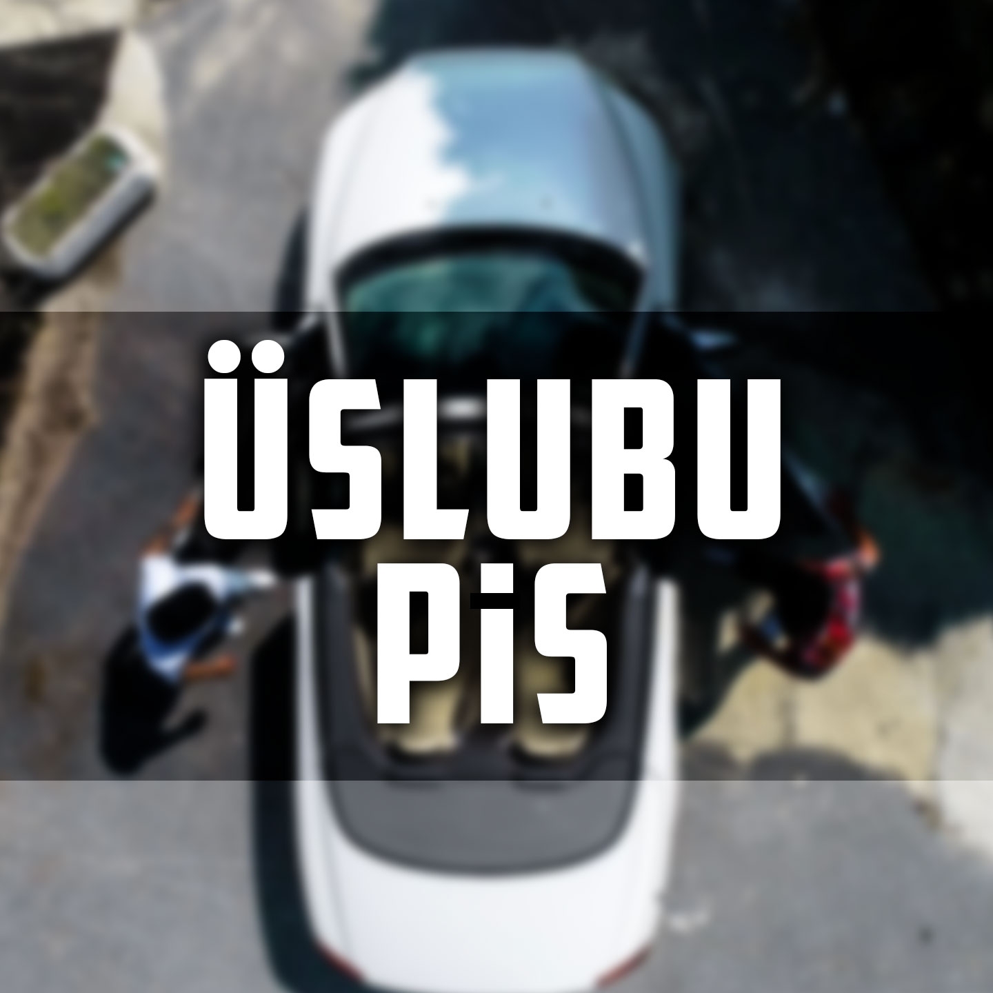 Ü slubu Pis