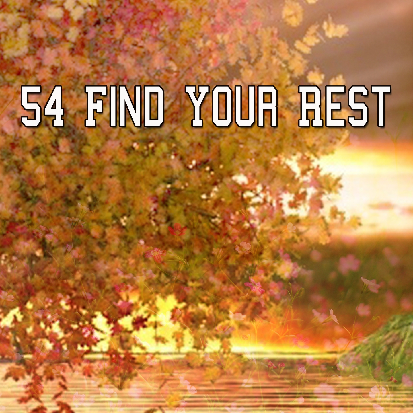 54 Find Your Rest