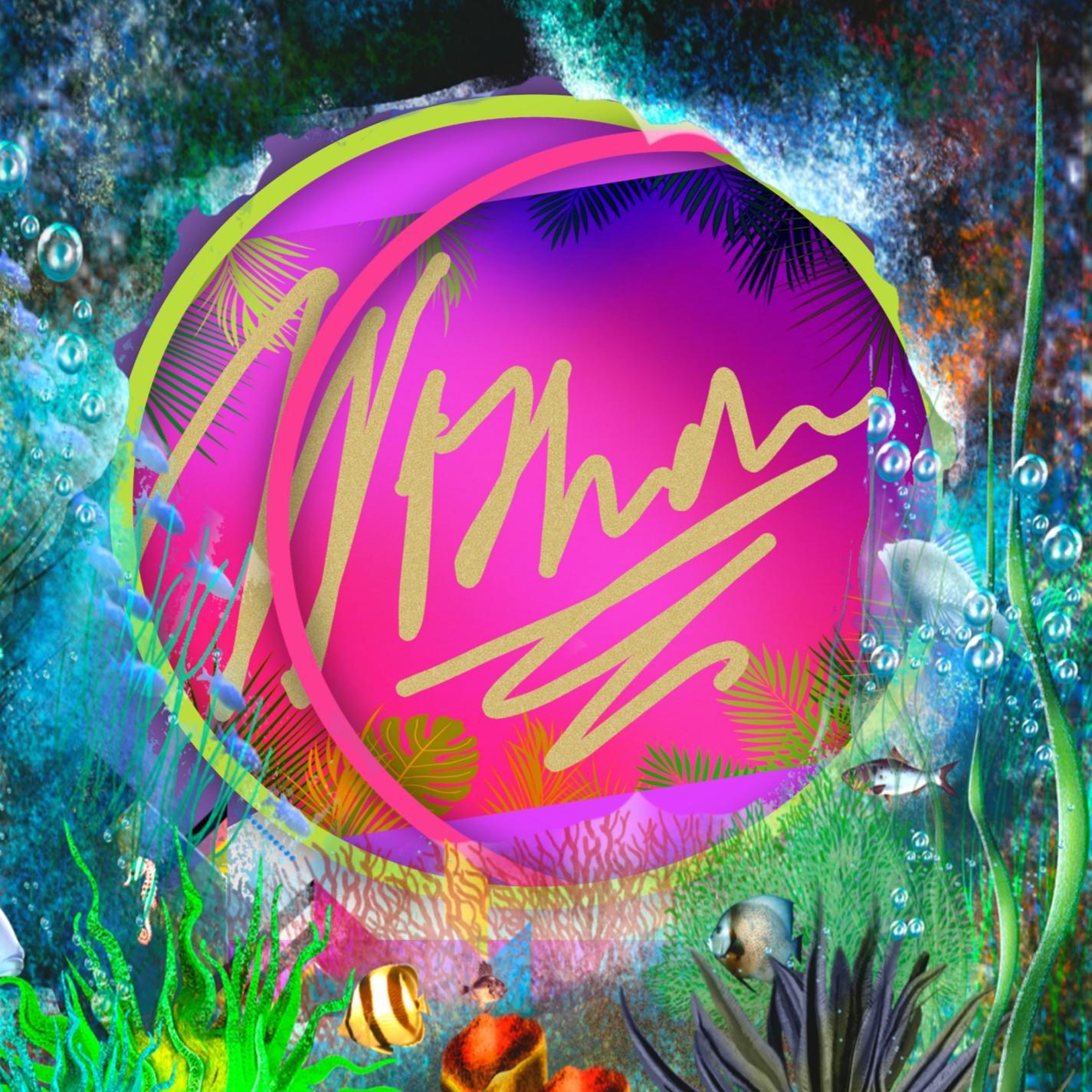 Wonder (sdasdad13$$#)