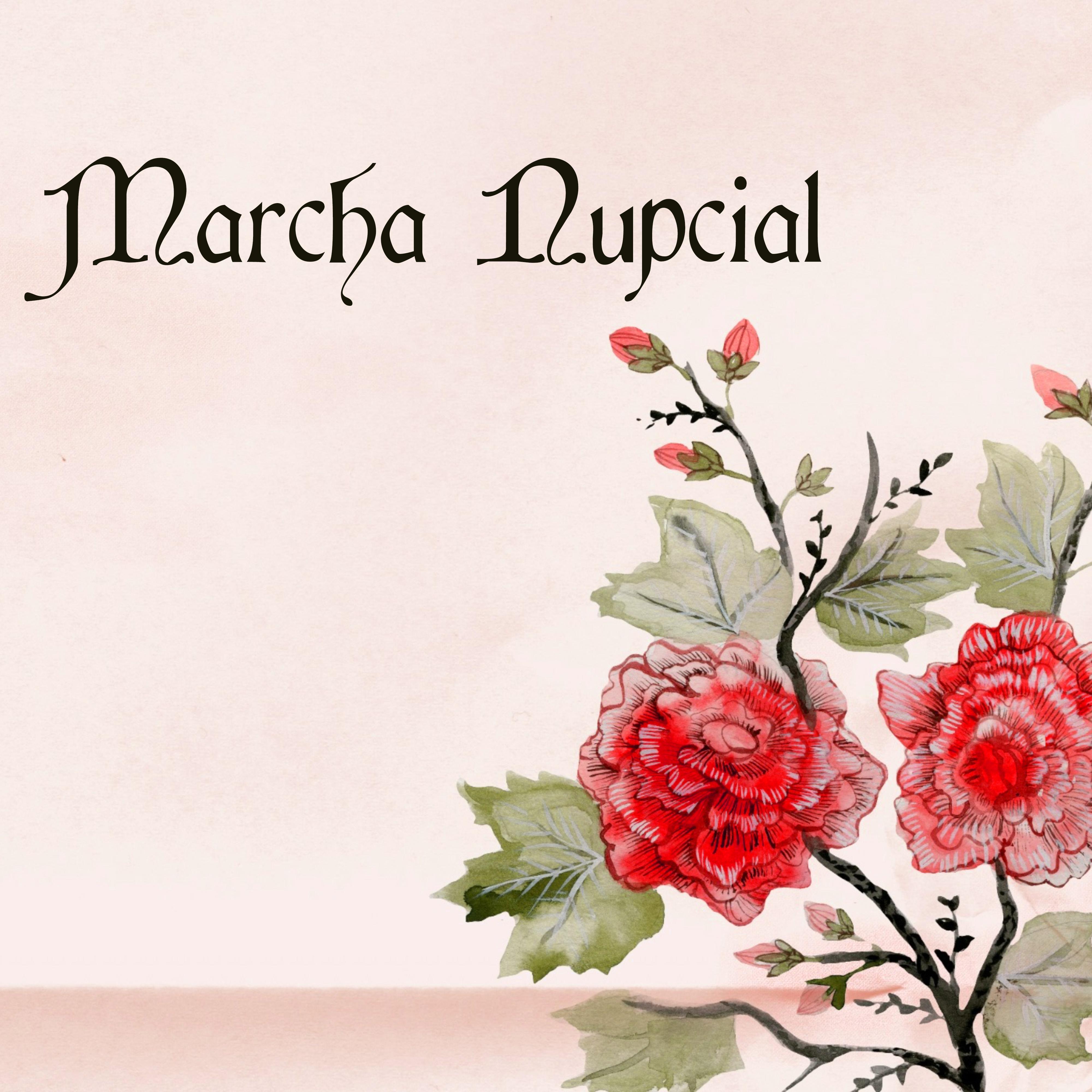 Marcha Nupcial  Mu sica Orquestal para Bodas y Canciones Romanticas para Casarse