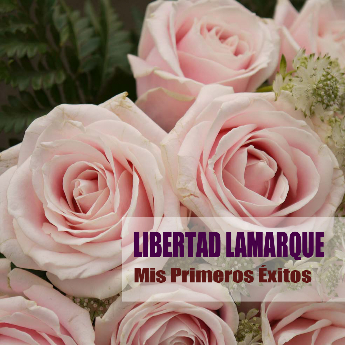 Mis Primeros É xitos