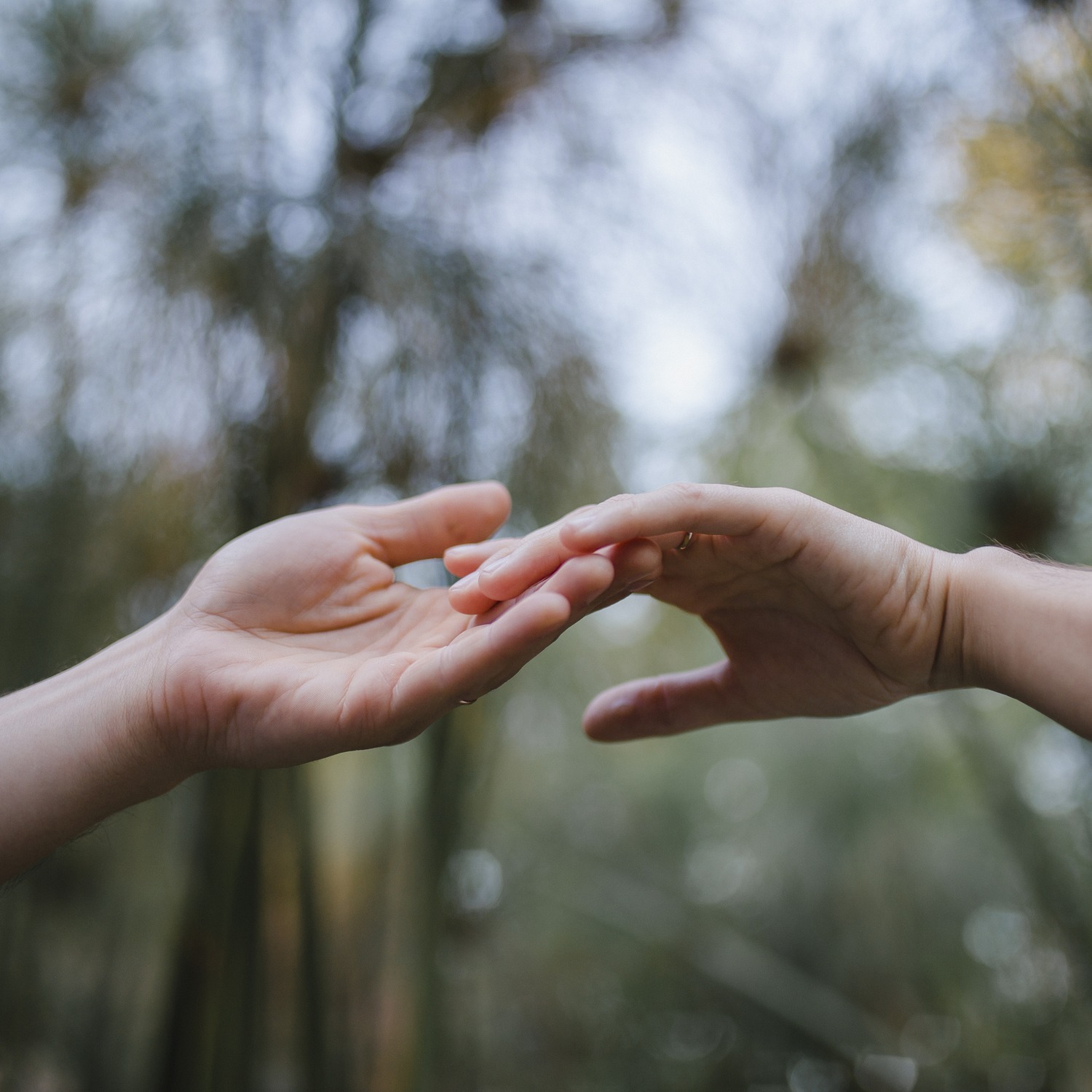 Mientras No Salga el Sol