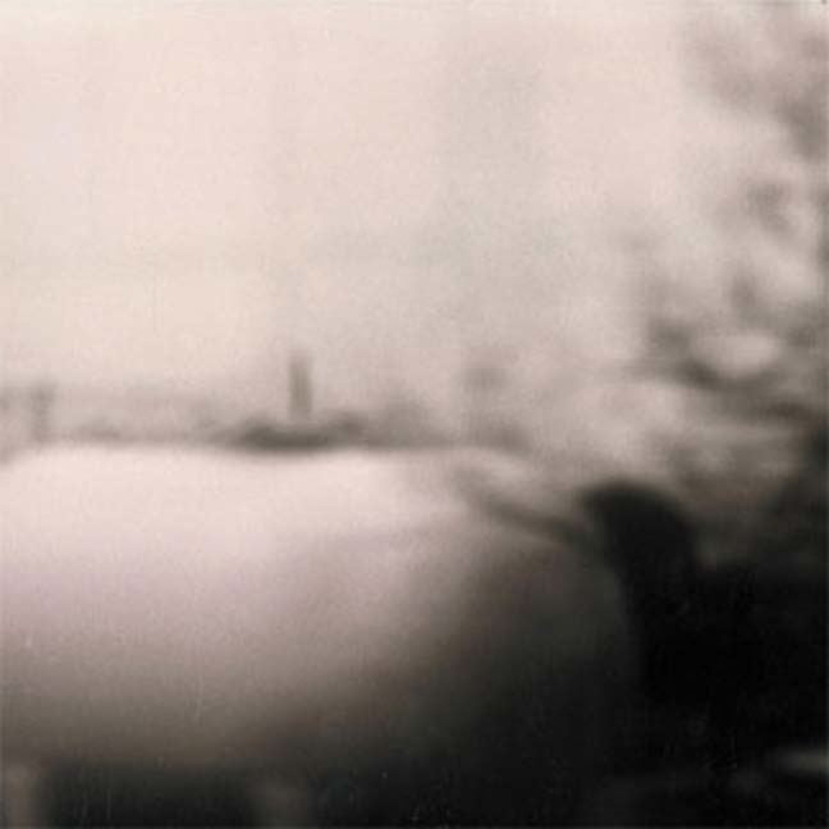 What a Long Strange Journey