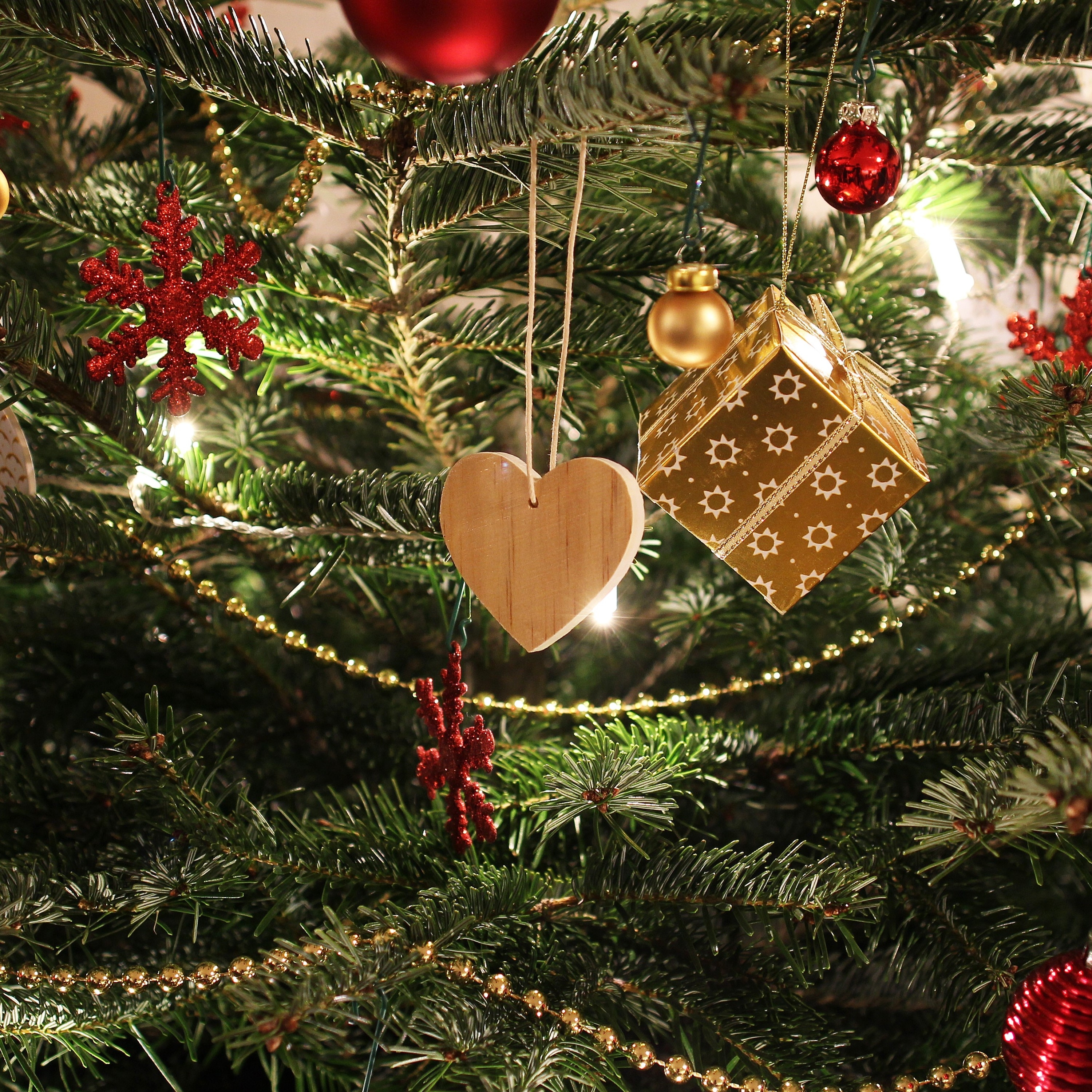 Our Special Christmas: 50 Essential Season Classics for Your Family to Enjoy