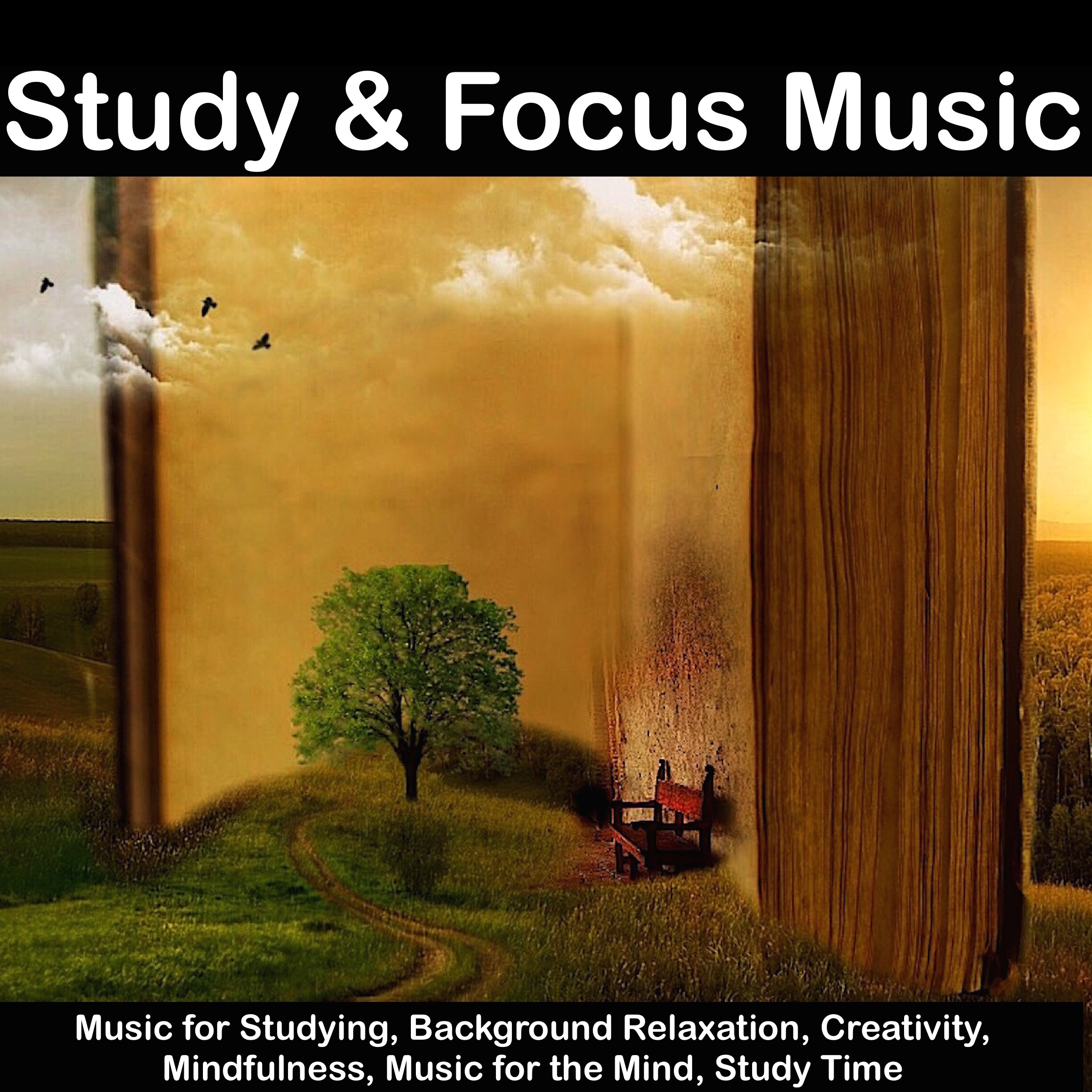Divine Study Music