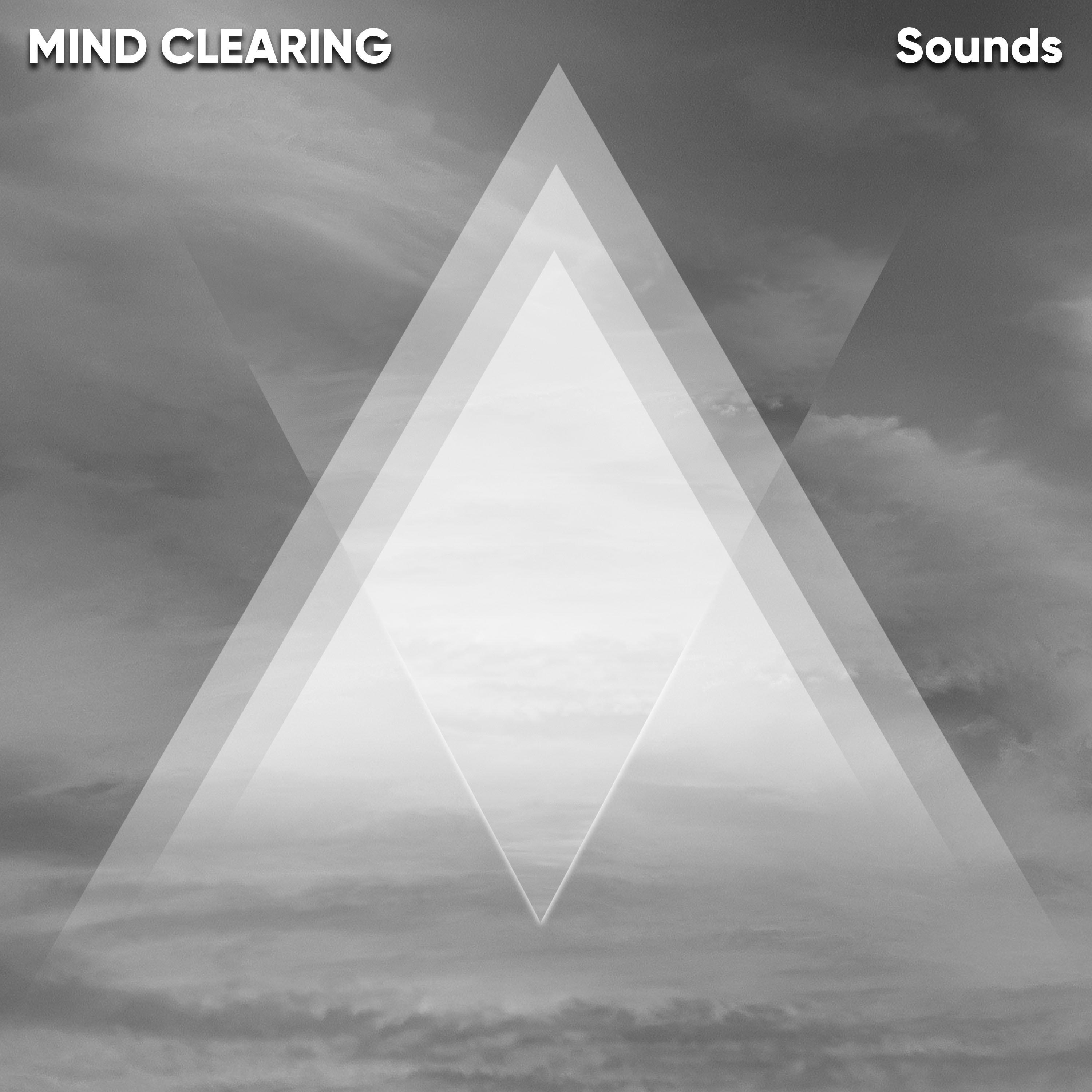 #21 Mind Clearing Sounds for Meditation and Sleep