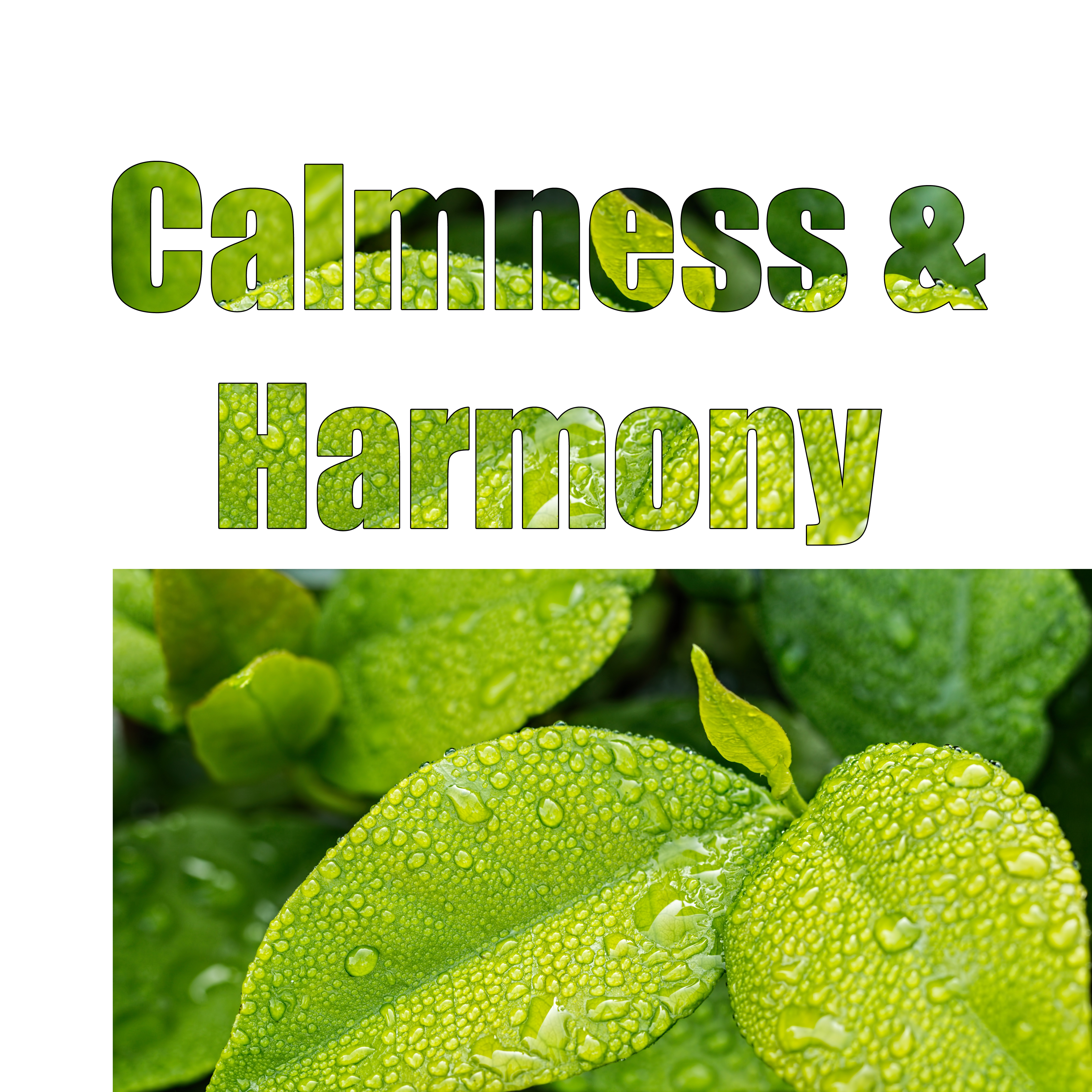 Calmness  Harmony  Pure Relaxation, Peaceful Mind, Nature Sounds for Relaxation, Soothing Waves, Deep Sleep, Zen
