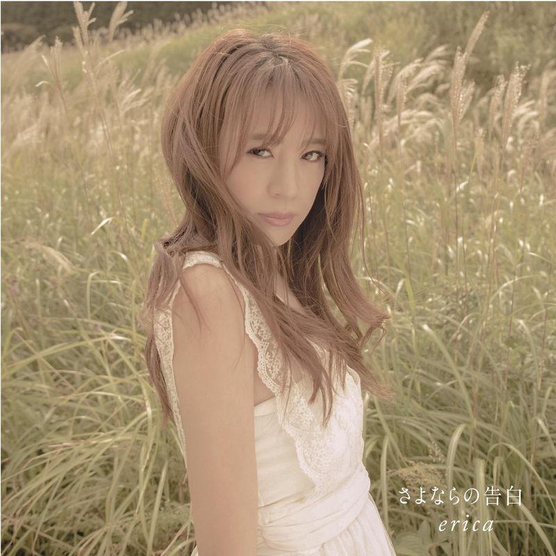 Where The Birds Have No Wings