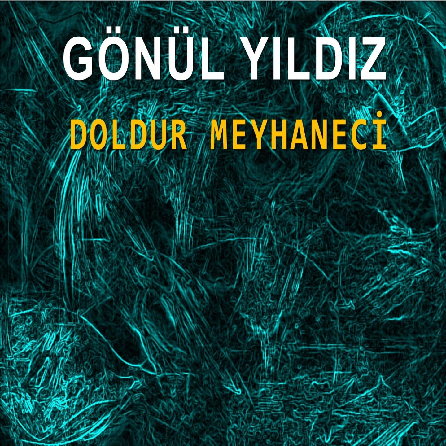 Doldur Meyhaneci