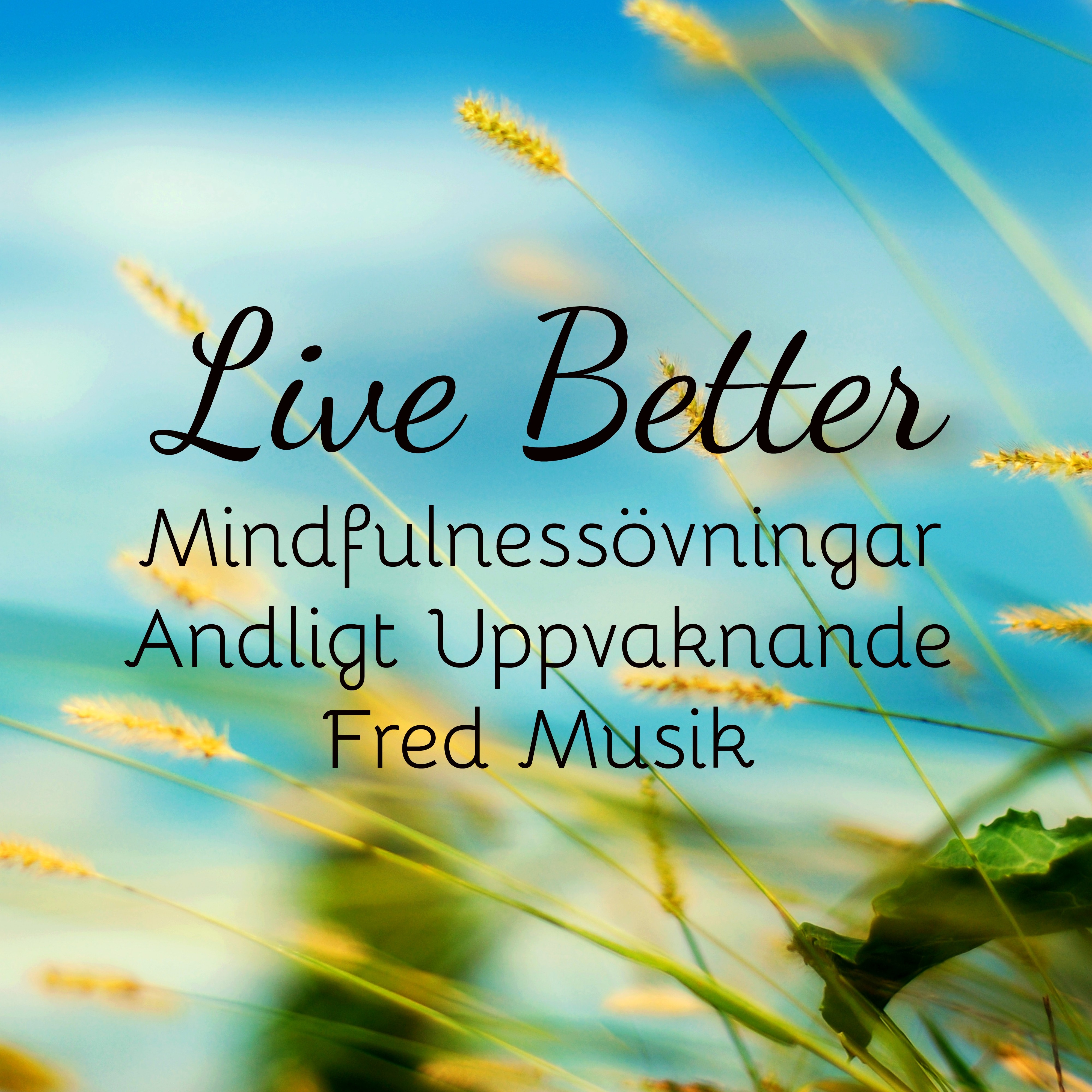 Live Better  Fred Mindfulness vningar Andligt Uppvaknande Musik f r V gledd Meditation Chakra Alignment
