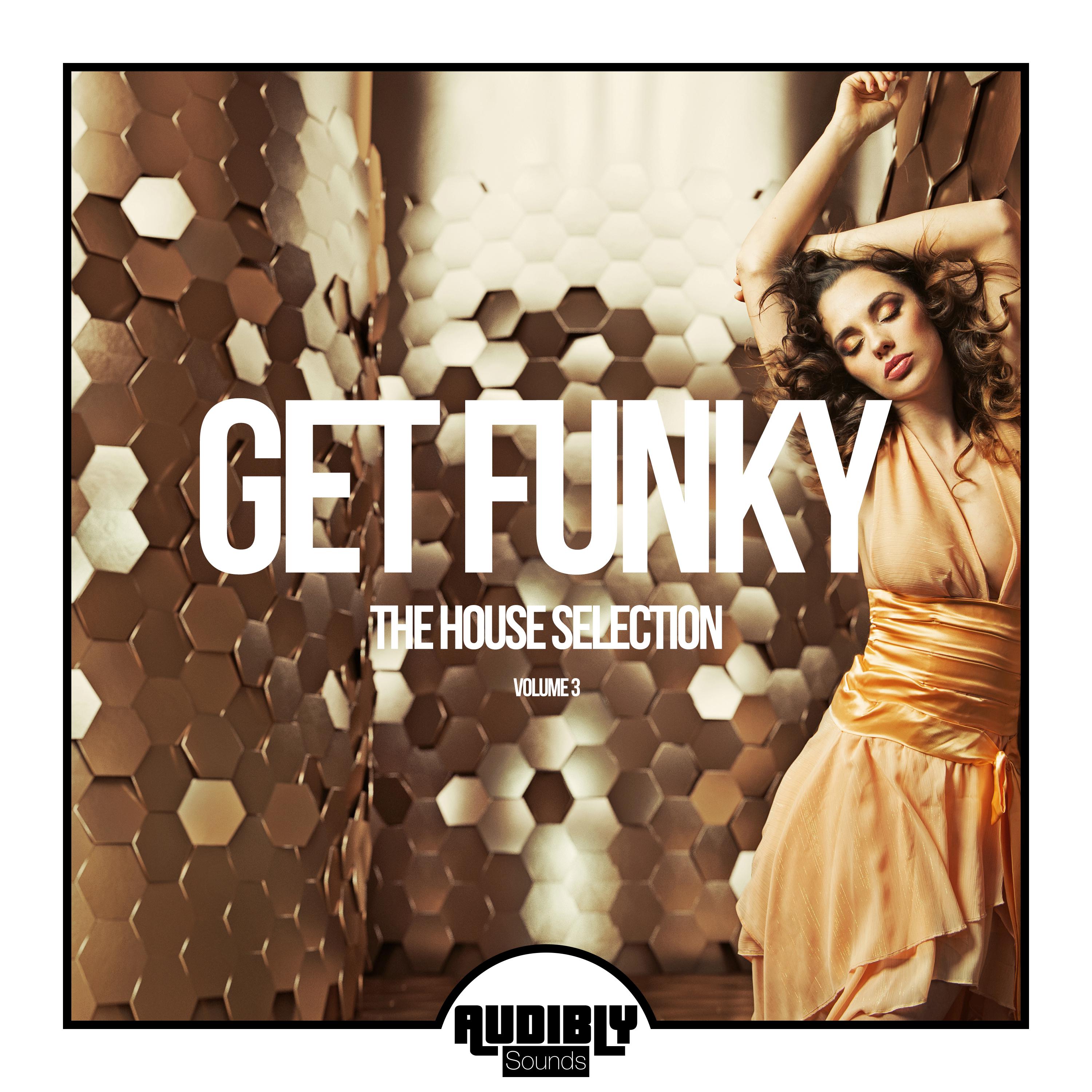 Get Funky (The House Selection), Vol. 3