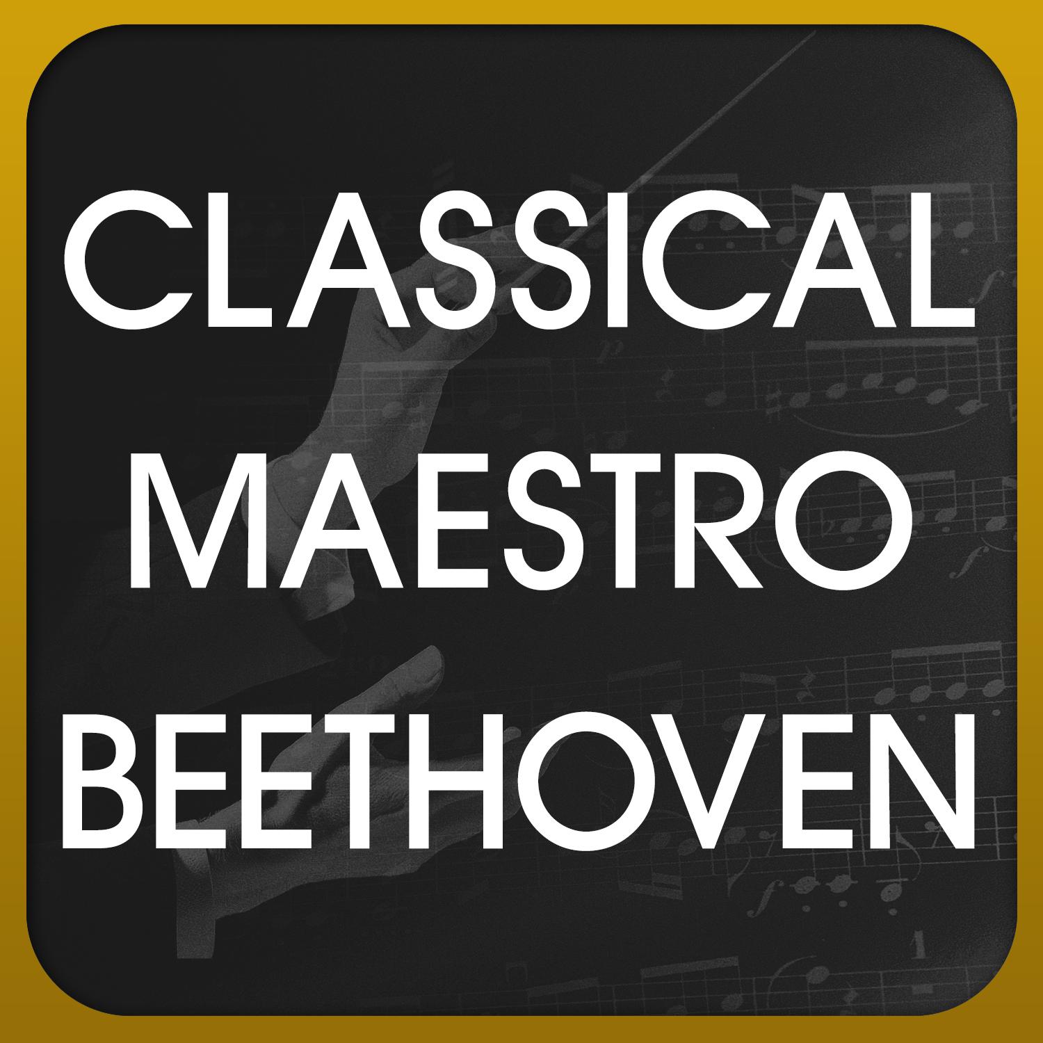 Classical Maestro Beethoven