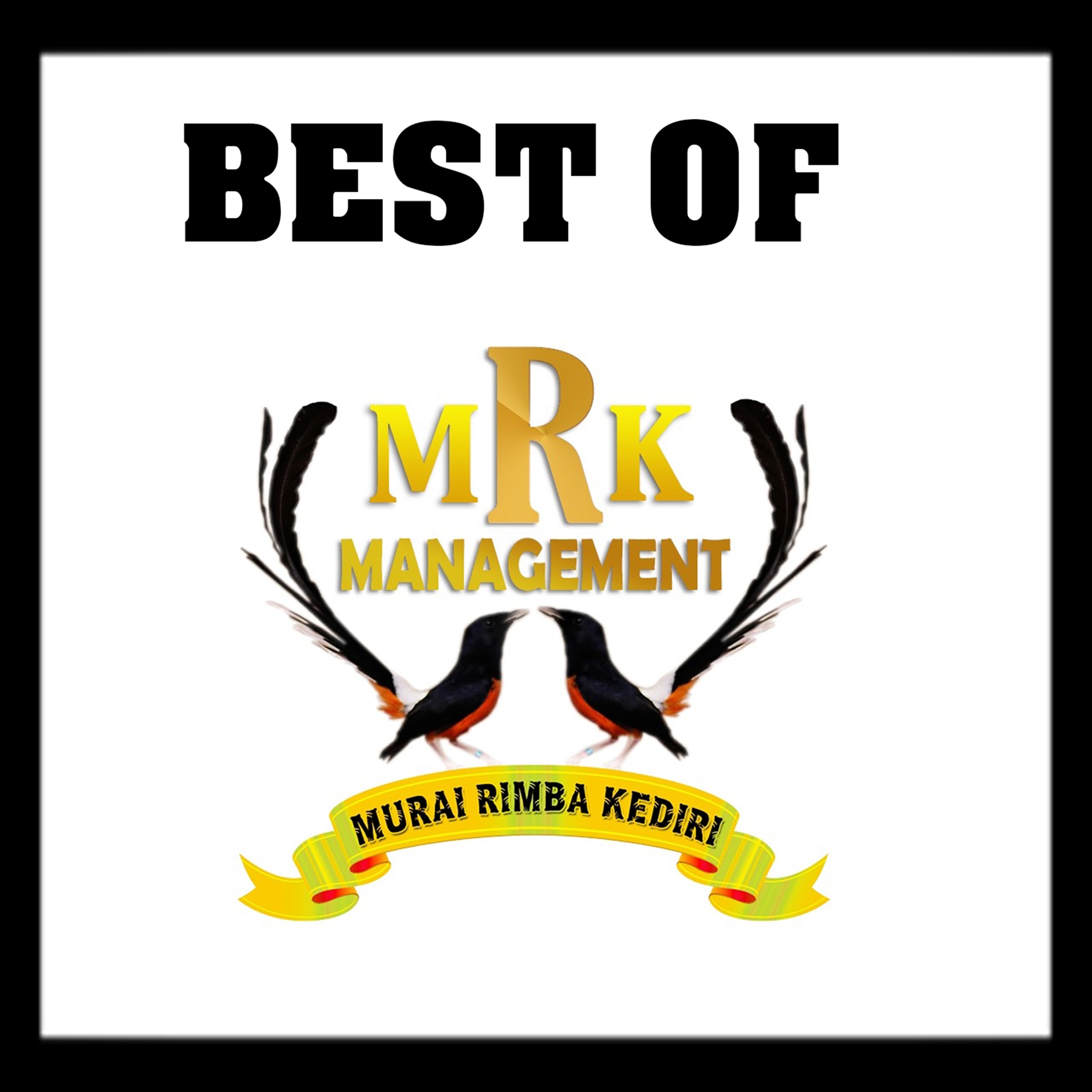 Best Of Mrk Management