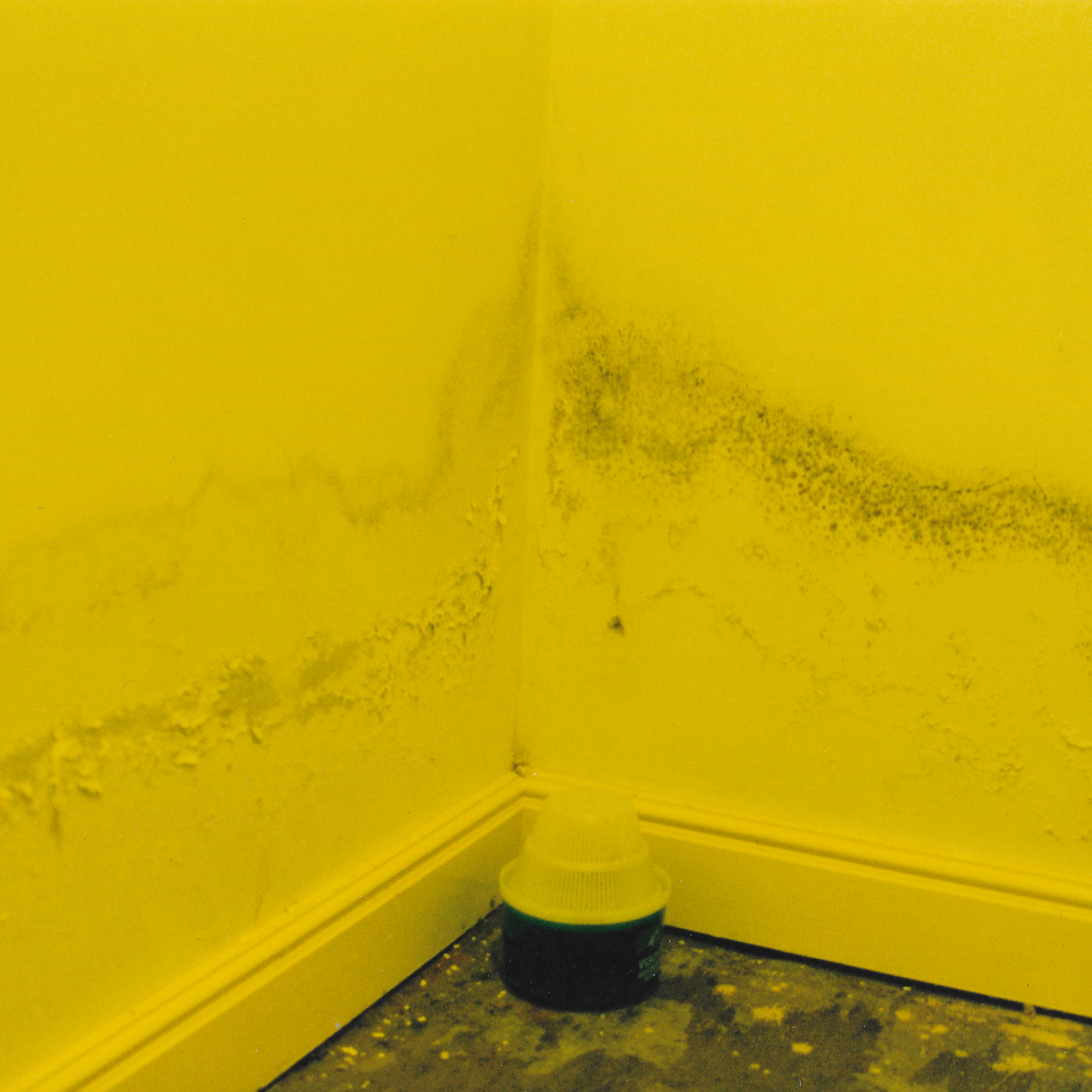 God Repainted Everything