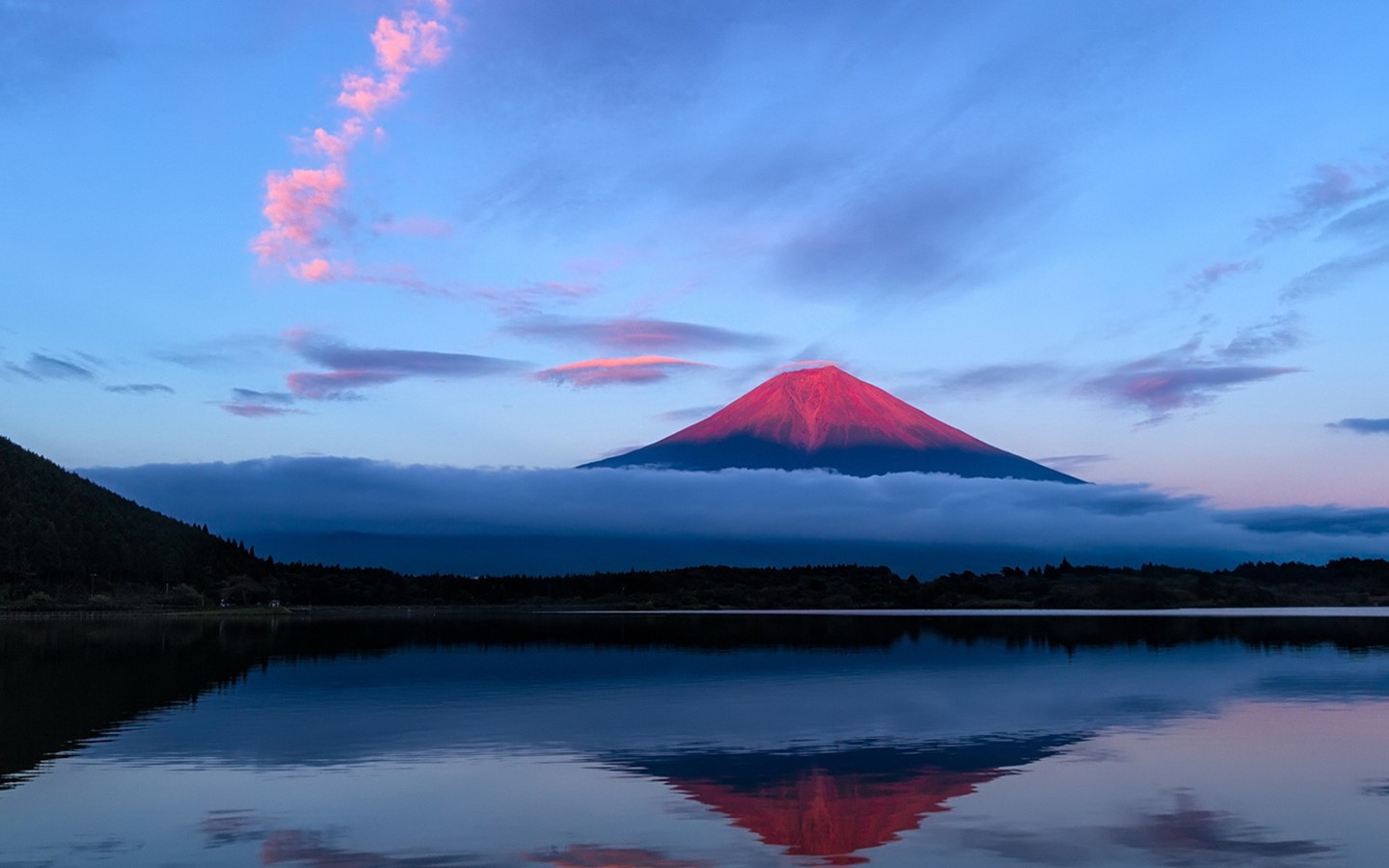 you shi yi nian guo qu le